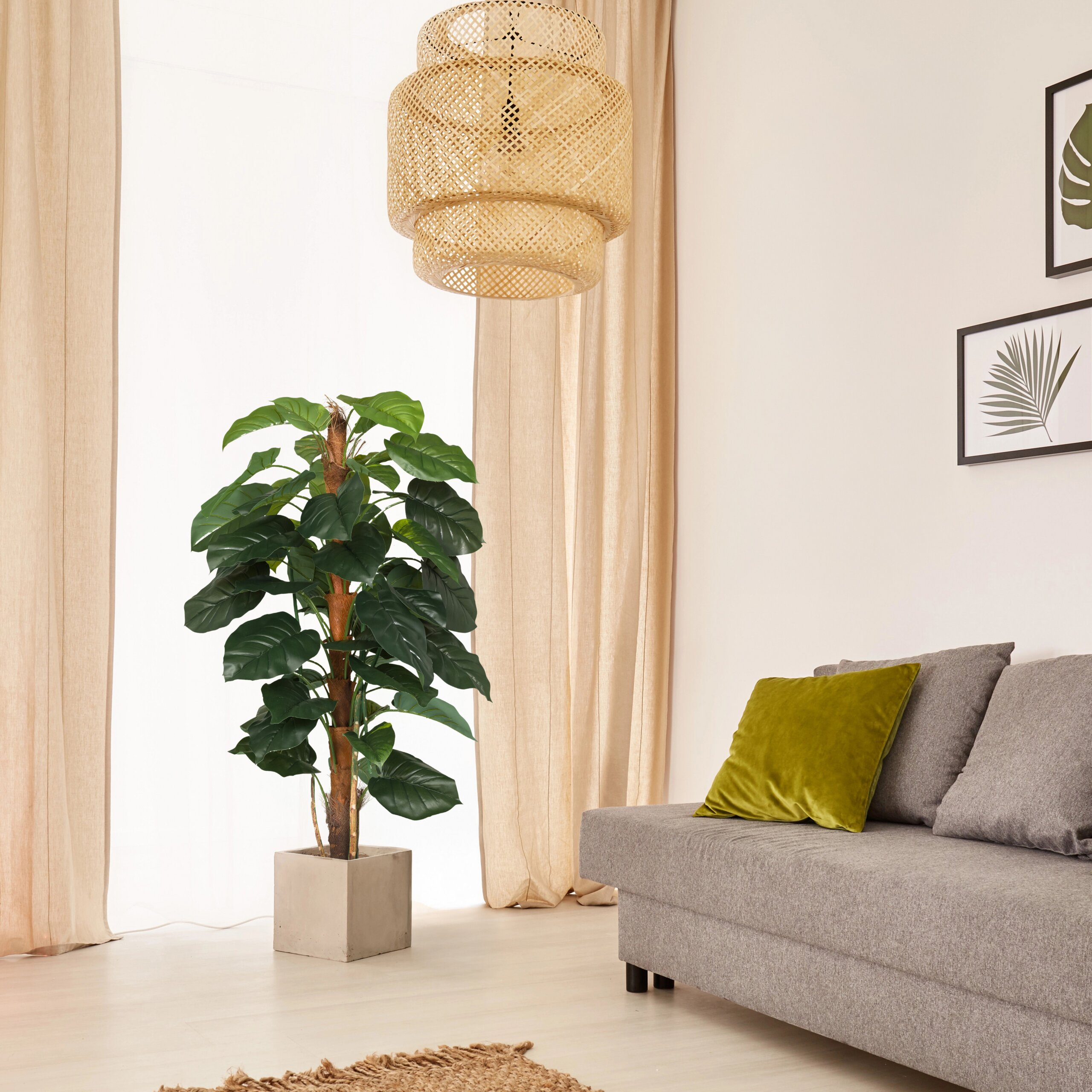 Ein gemütliches Zimmer mit grauem Sofa, grünem Kissen, großer Pflanze in Topf und Rattan-Hängelampe.