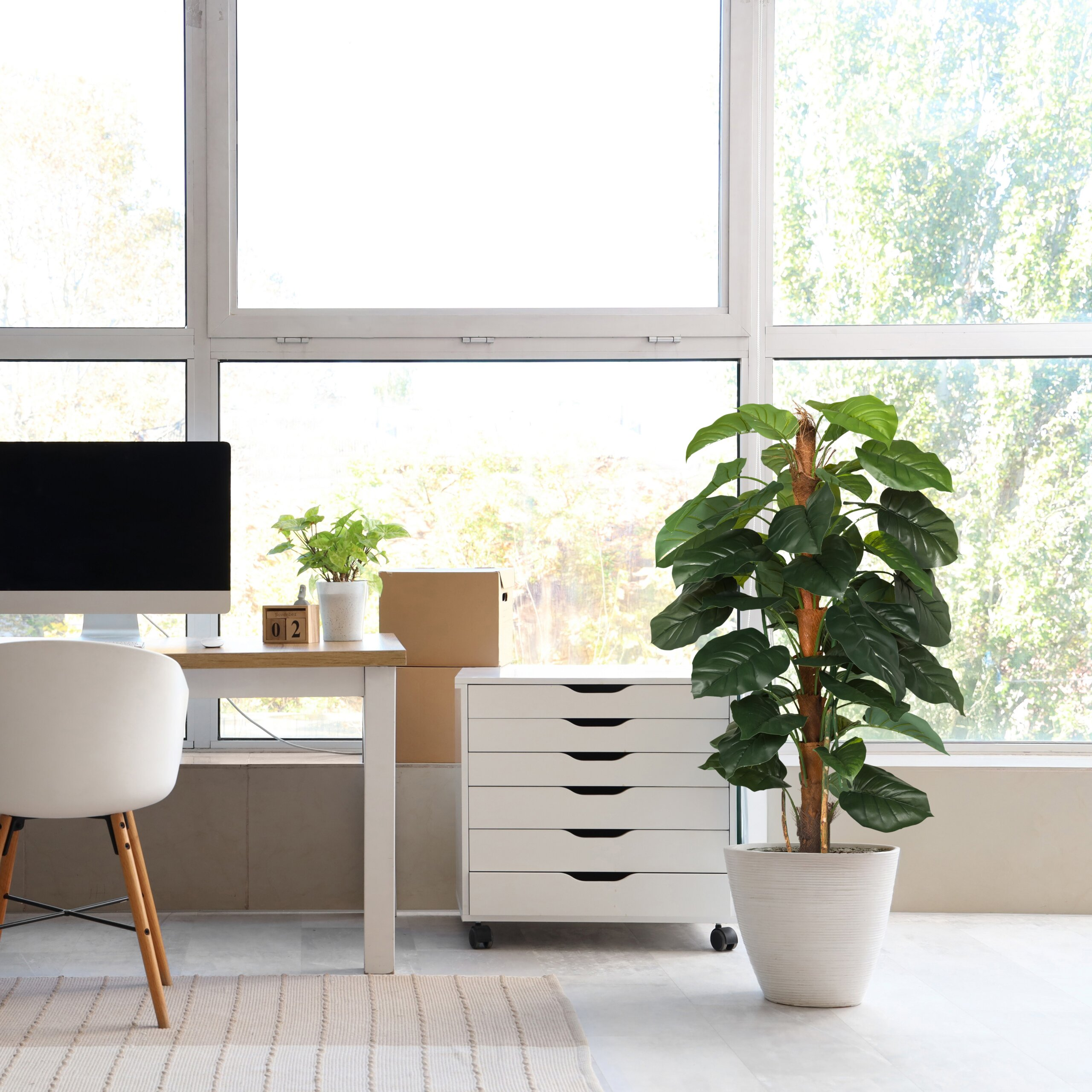 Ein helles Büro mit weißem Schreibtisch, Computer, Schubladencontainer und großer Topfpflanze vor dem Fenster.