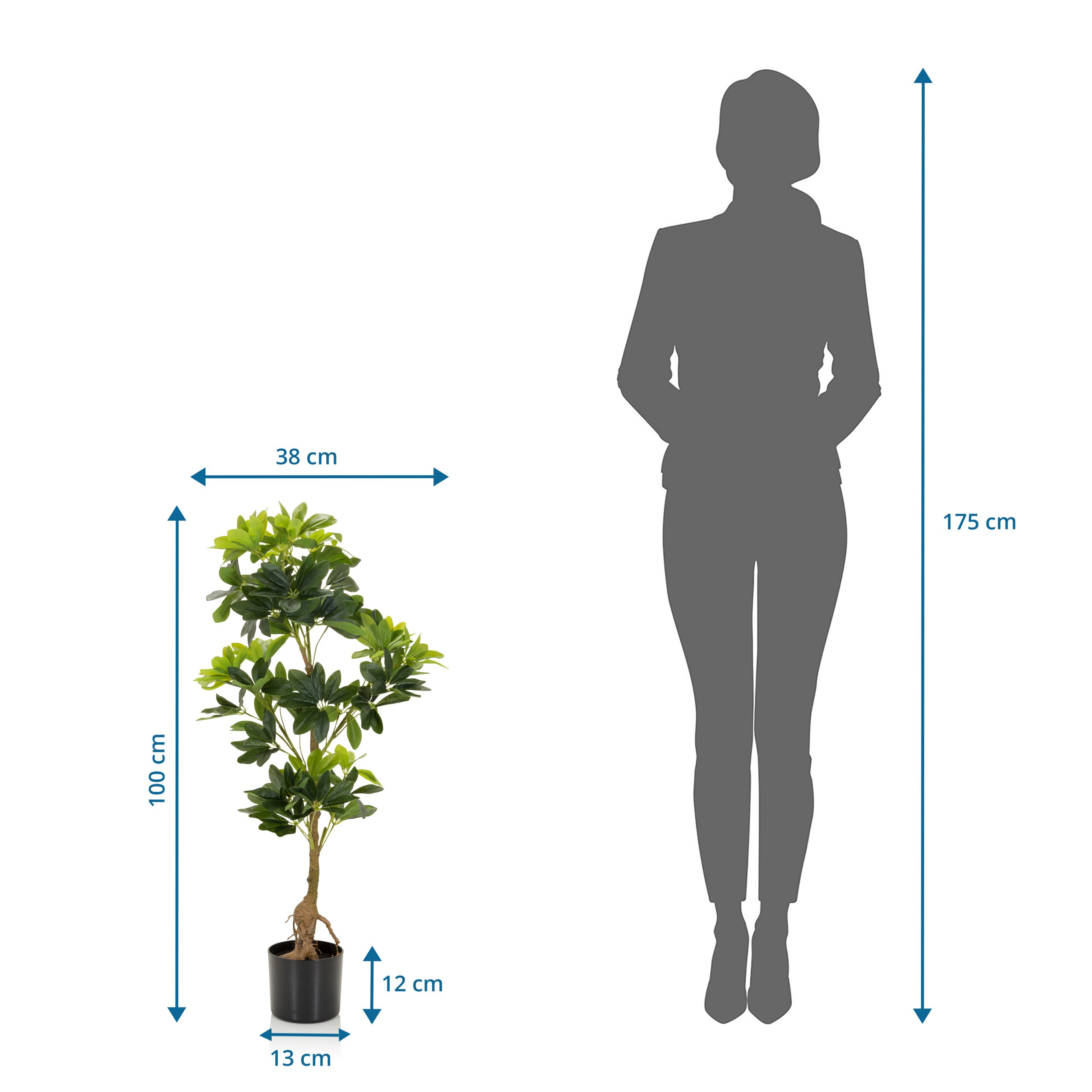 Diagramm zeigt eine 100 cm hohe Kunstpflanze neben der Silhouette einer 175 cm großen Frau mit Maßangaben.