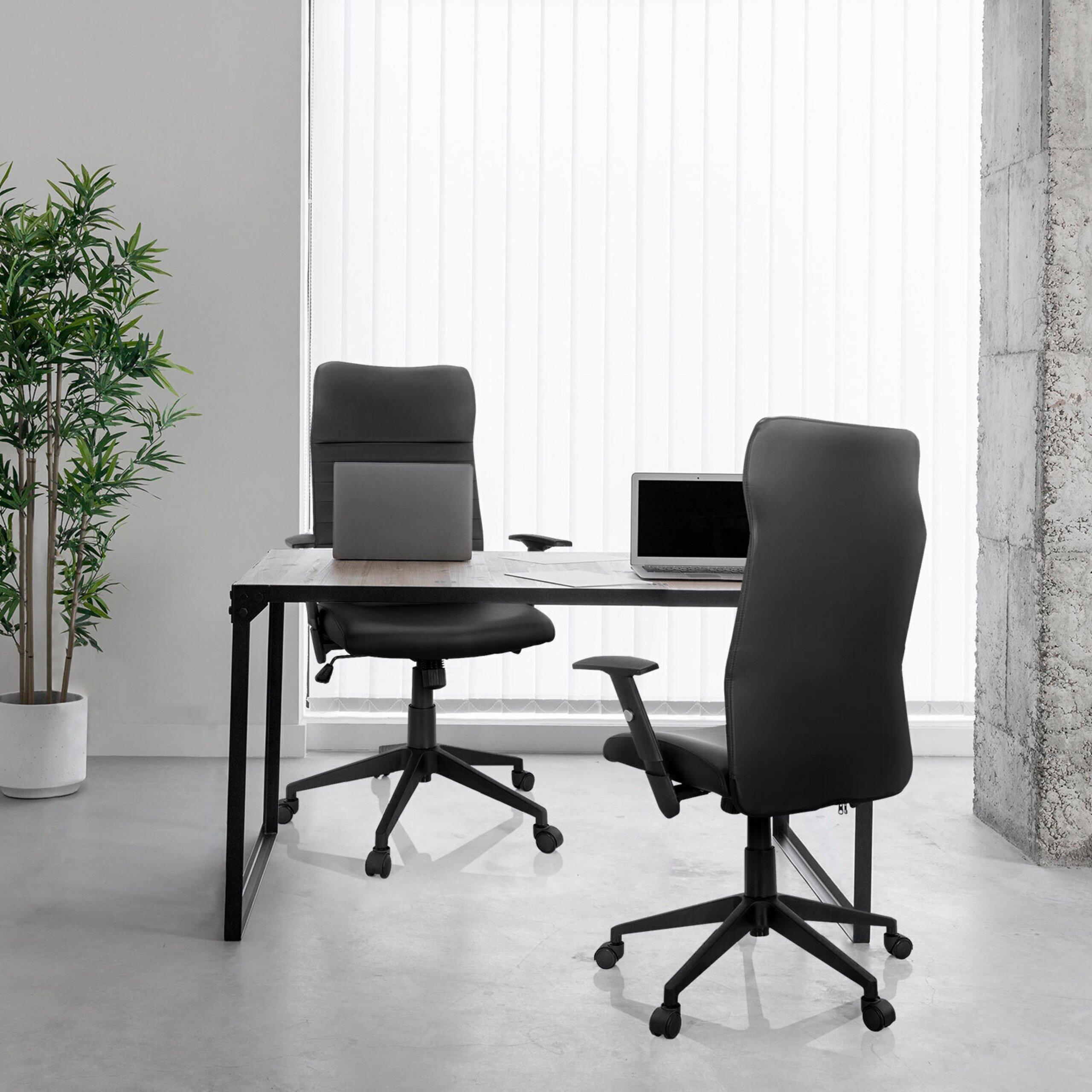 Moderne Büroeinrichtung mit einem Schreibtisch, zwei schwarzen Stühlen, Laptops und einer Pflanze.