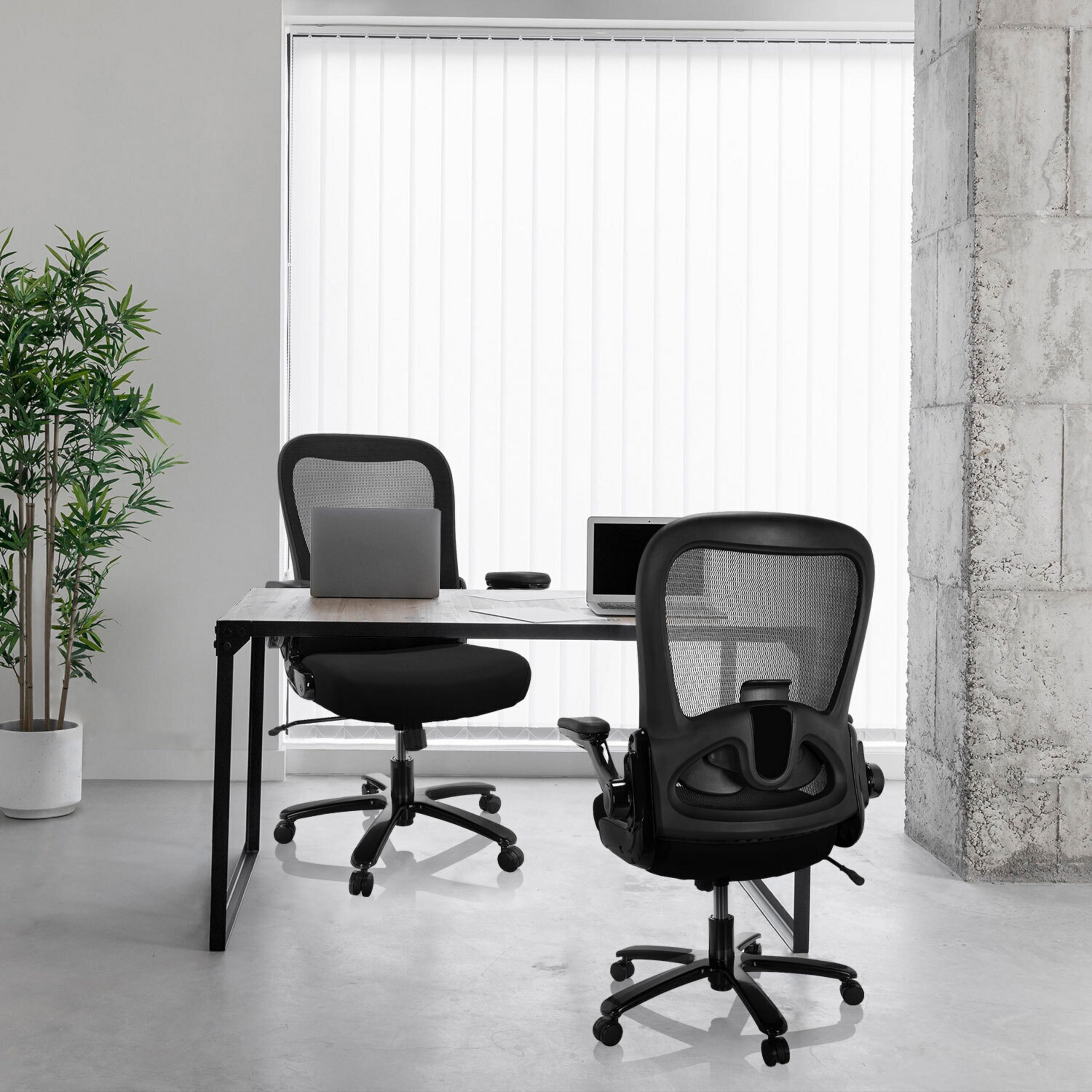 Ein modernes Büro mit Schreibtisch, Laptop, zwei schwarzen Stühlen, Topfpflanze und einem Fenster mit Jalousien.