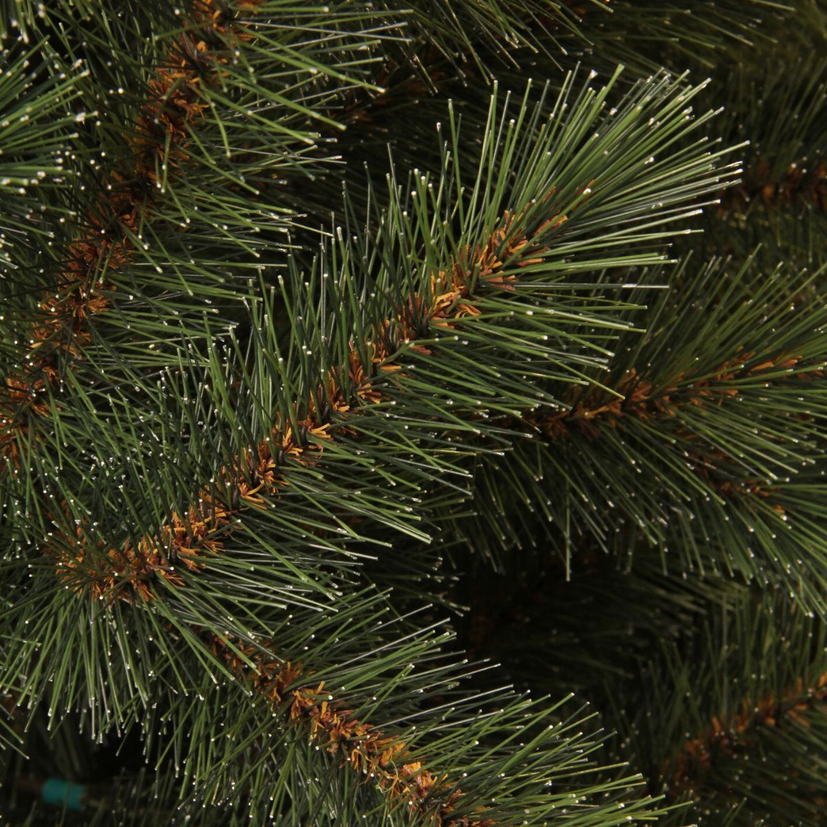 Close-up of green pine tree branches with fine needles and brown stems.