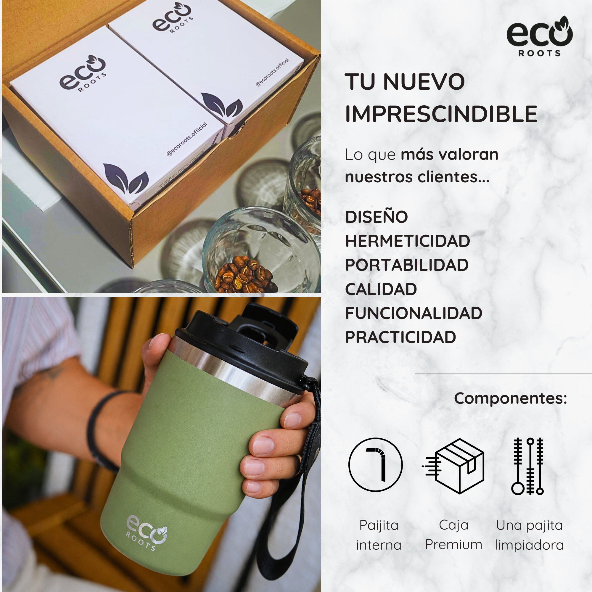 Infografía de Eco Roots con un termo verde, caja y detalles del café.