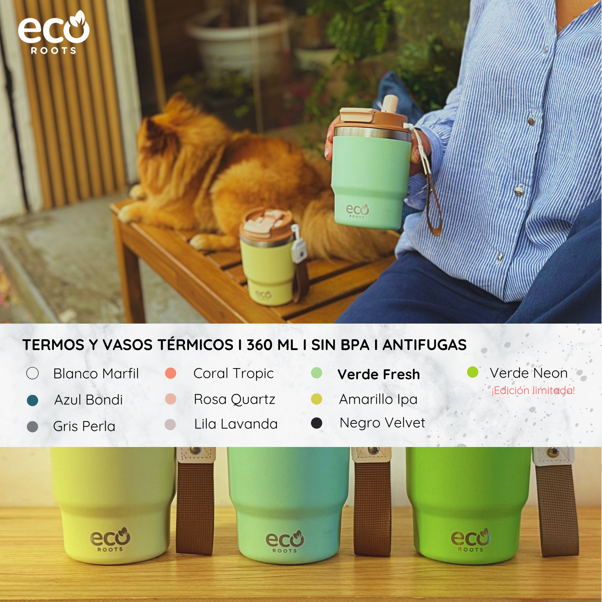 Persona sosteniendo taza verde EcoRoots, perro al fondo, con opciones de color y tres tazas más abajo.