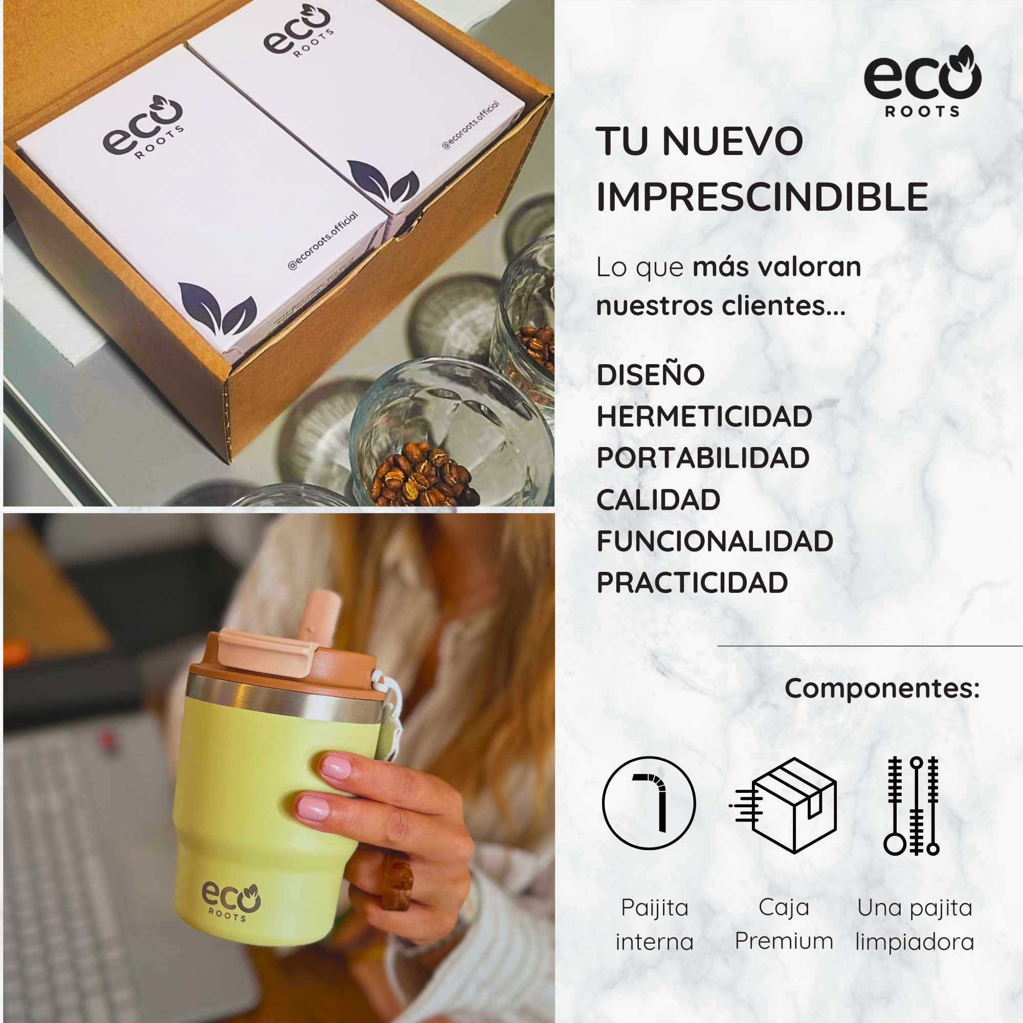 Imagen promocional de Eco Roots con una caja, granos de café, un vaso verde y texto.