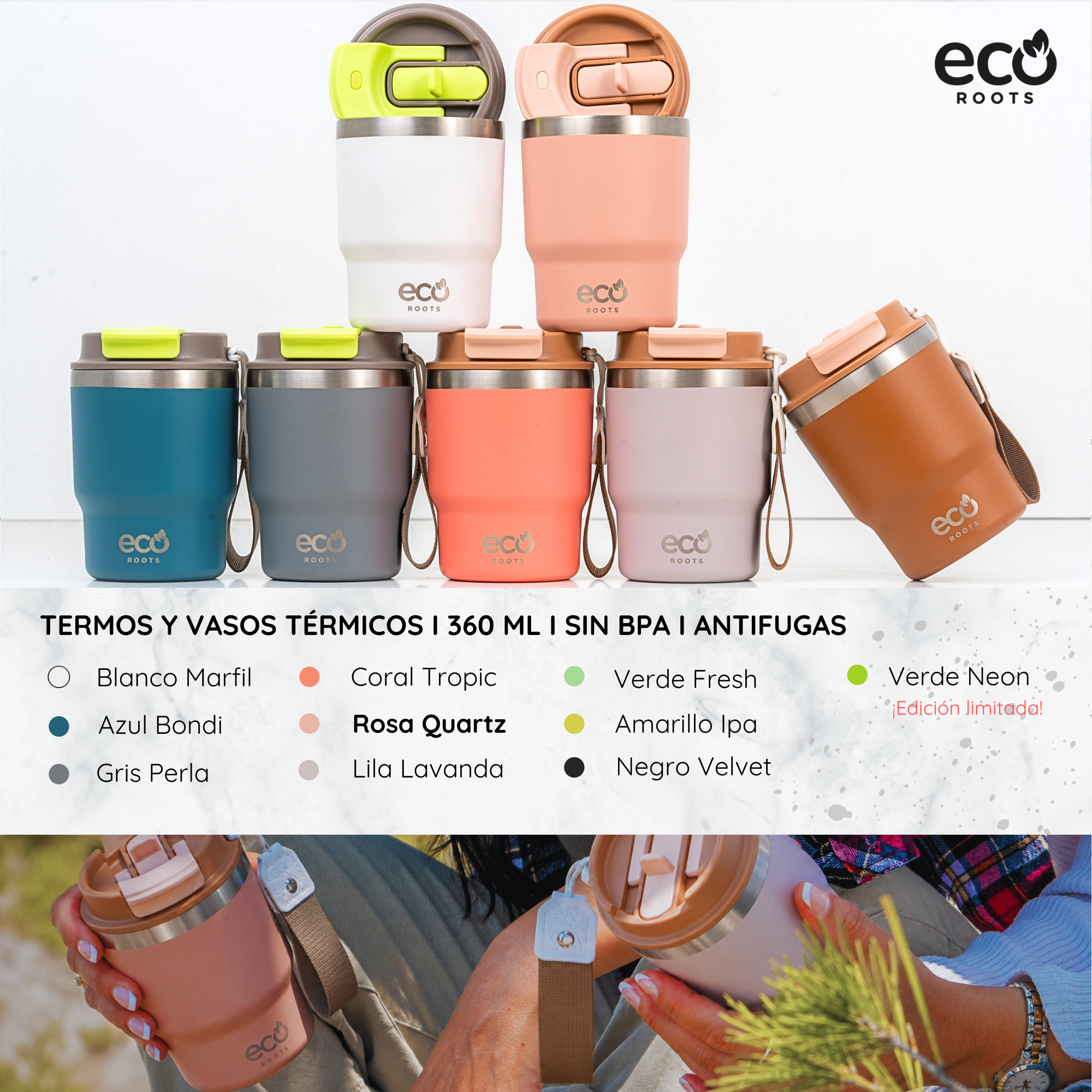 Tazas térmicas Eco Roots coloridas dispuestas con nombres de colores y una persona sosteniendo dos abajo.