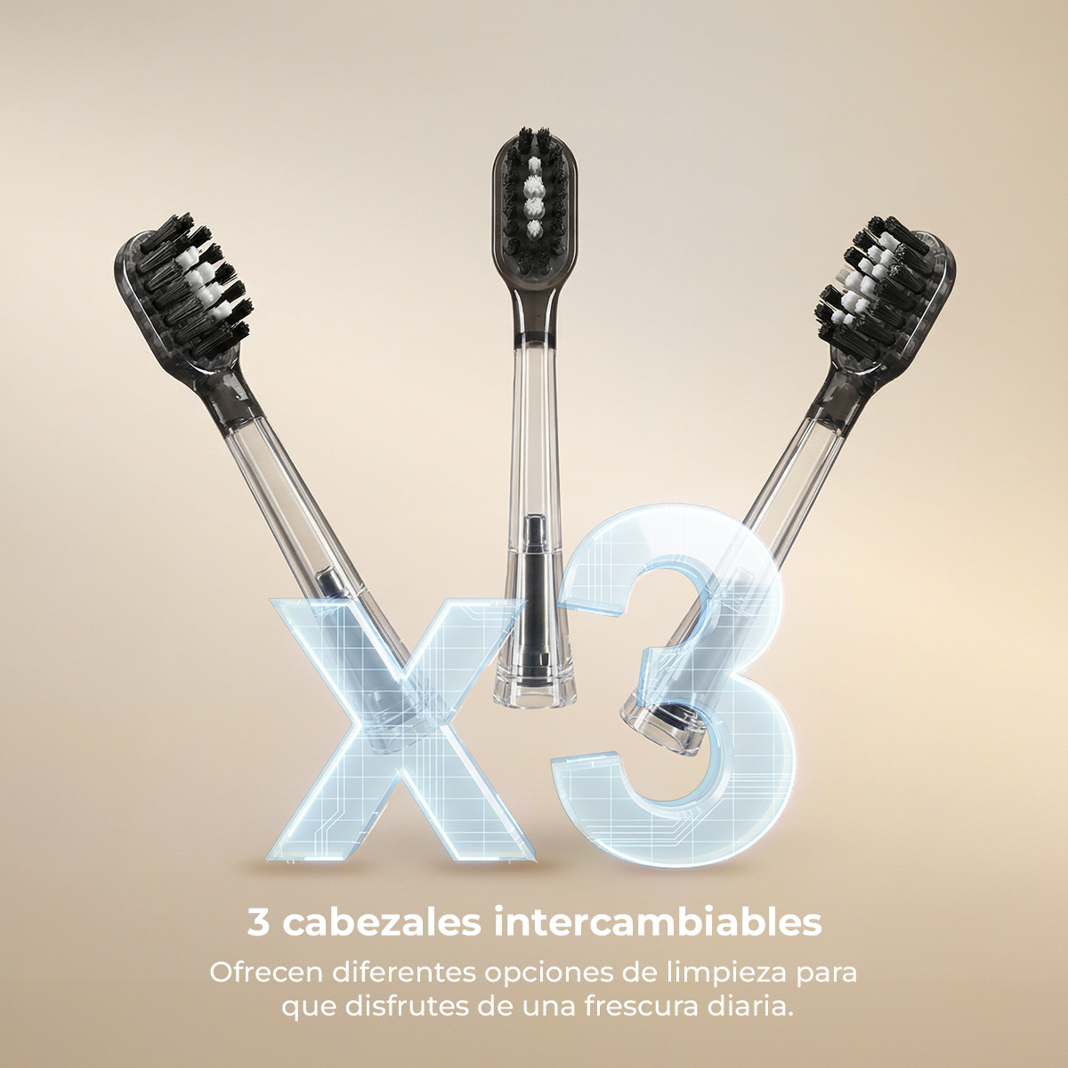 Tres cabezales de cepillo transparentes con cerdas blancas y negras frente a un fondo beige y el texto x3.