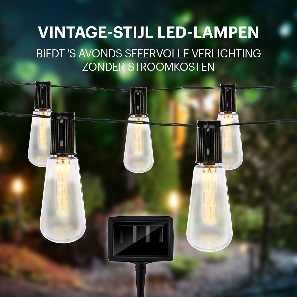 Solar string lights with vintage LED bulbs hanging in a garden.