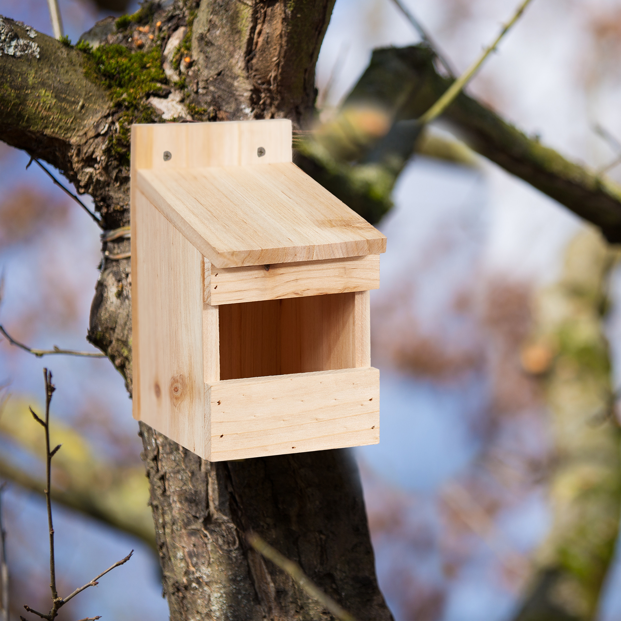 Ein hölzernes Vogelhäuschen ist an einem bemoosten Baum befestigt, der Hintergrund zeigt verschwommene Zweige.