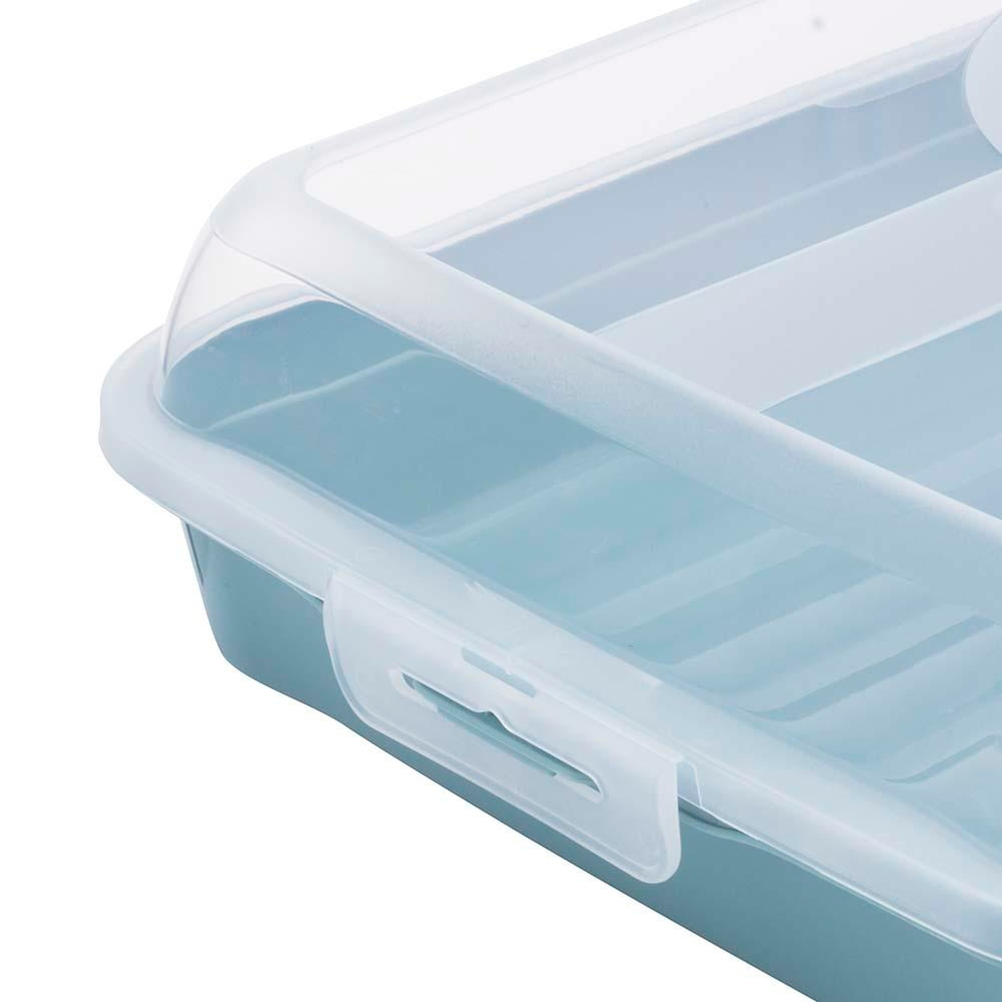 Nahaufnahme einer blauen Plastikbox mit durchsichtigem Deckel und Verschluss.