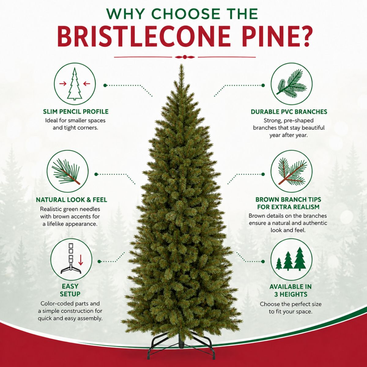 Infographic about the Bristlecone Pine with features like PVC branches, icons, and text.