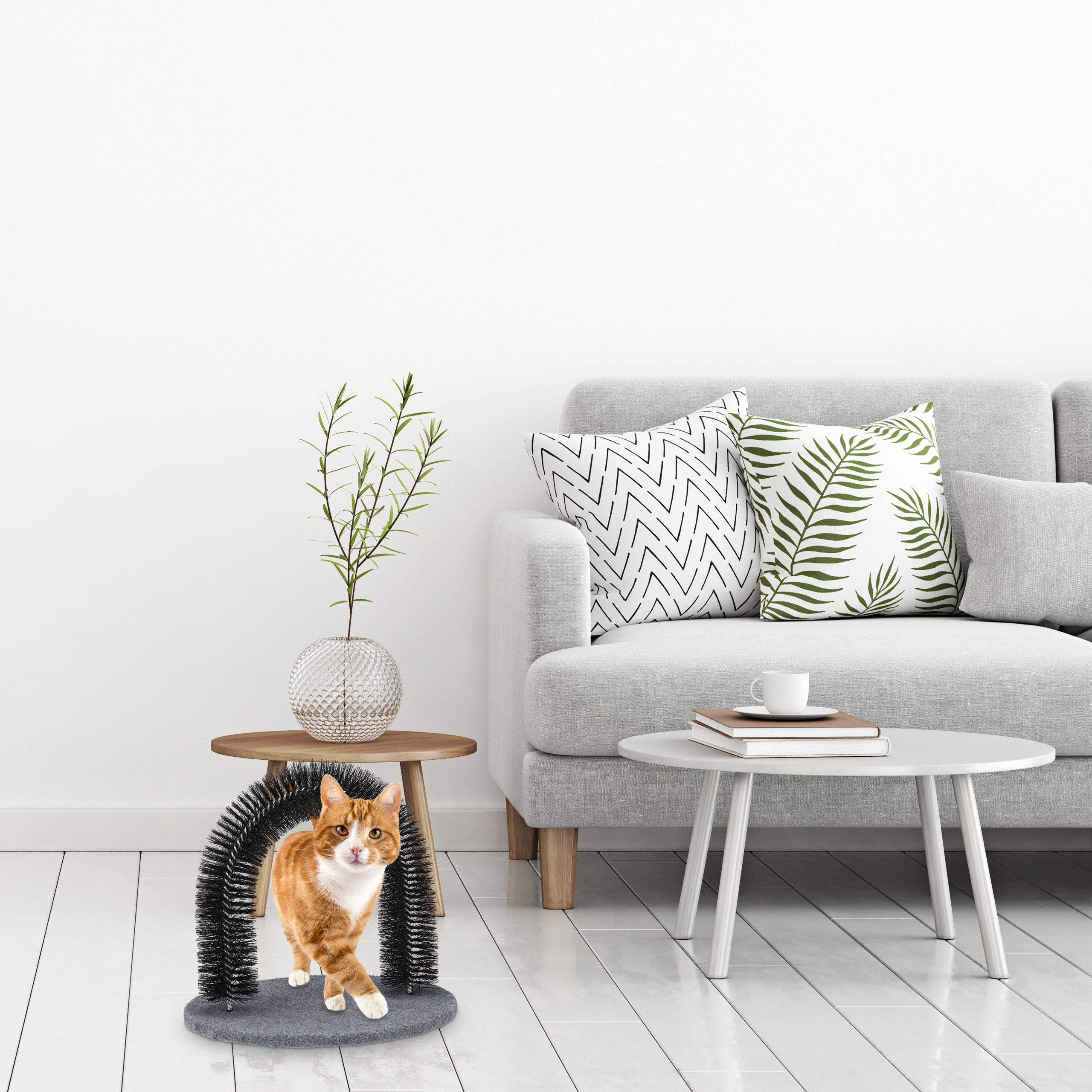 Eine orange Katze geht durch eine Bürste in einem hellen Wohnzimmer mit grauem Sofa und Tisch.