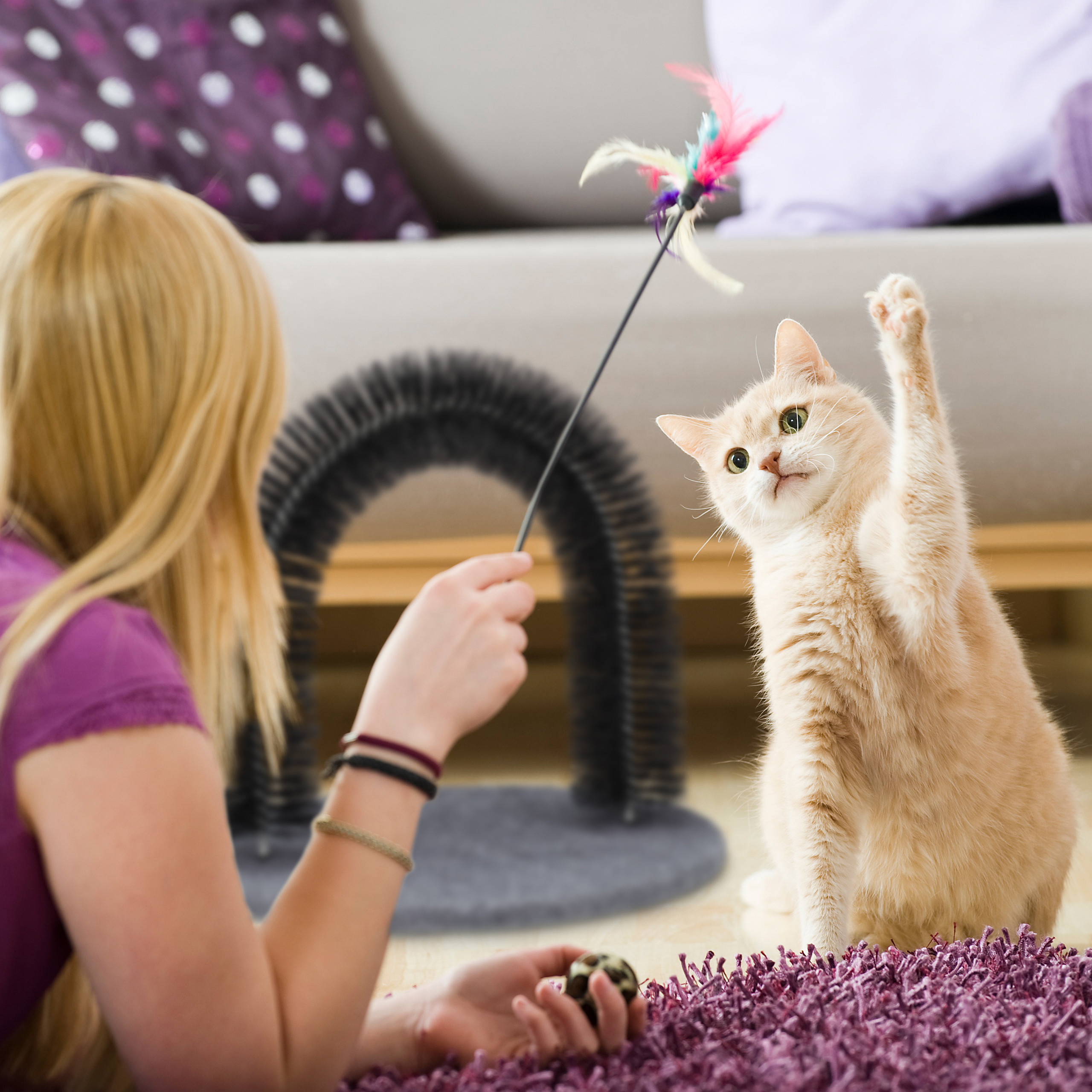 Eine blonde Frau spielt mit einem süßen roteren Kater und einem Federwedel in einem Wohnzimmer.