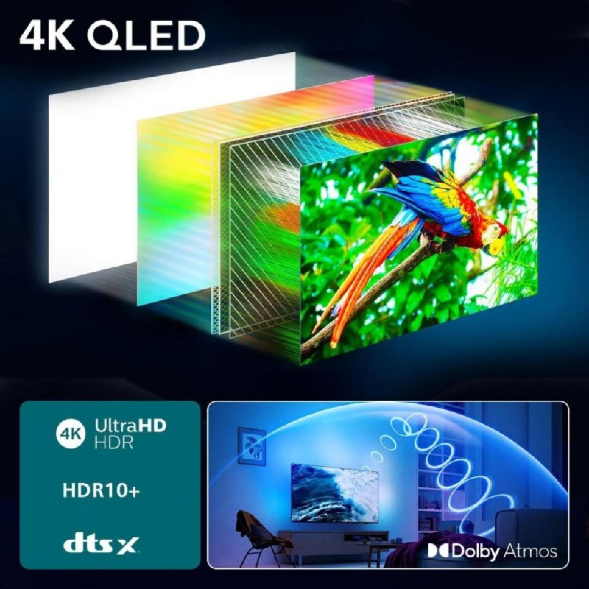 Un diagramma di display 4K QLED con pannelli stratificati e un pappagallo colorato, con Dolby Atmos.