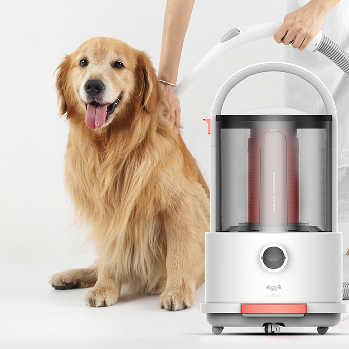 Una persona usa un aspirapolvere bianco mentre un cane Golden Retriever siede nelle vicinanze.