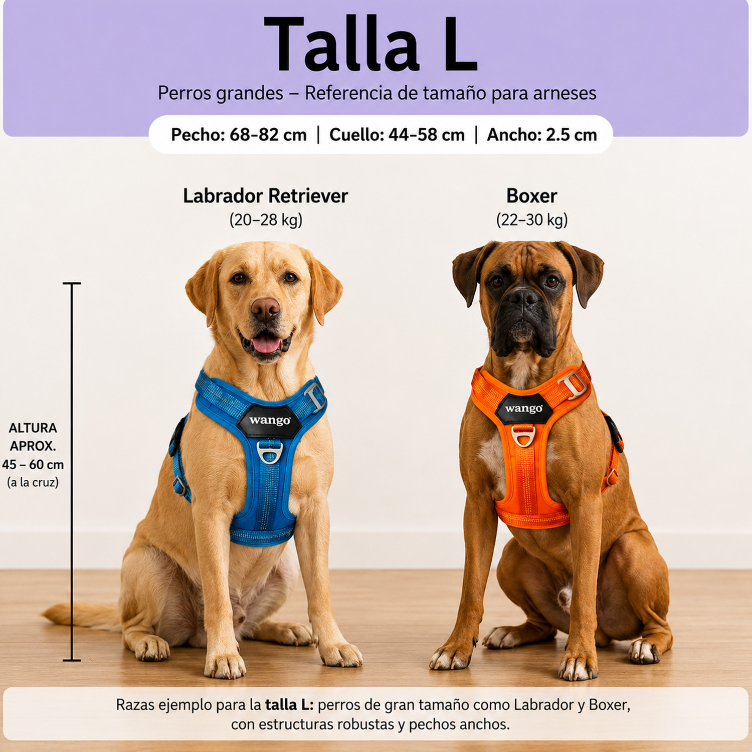 Tabla de talla L para perros grandes con un Labrador y un Boxer con arneses de colores.