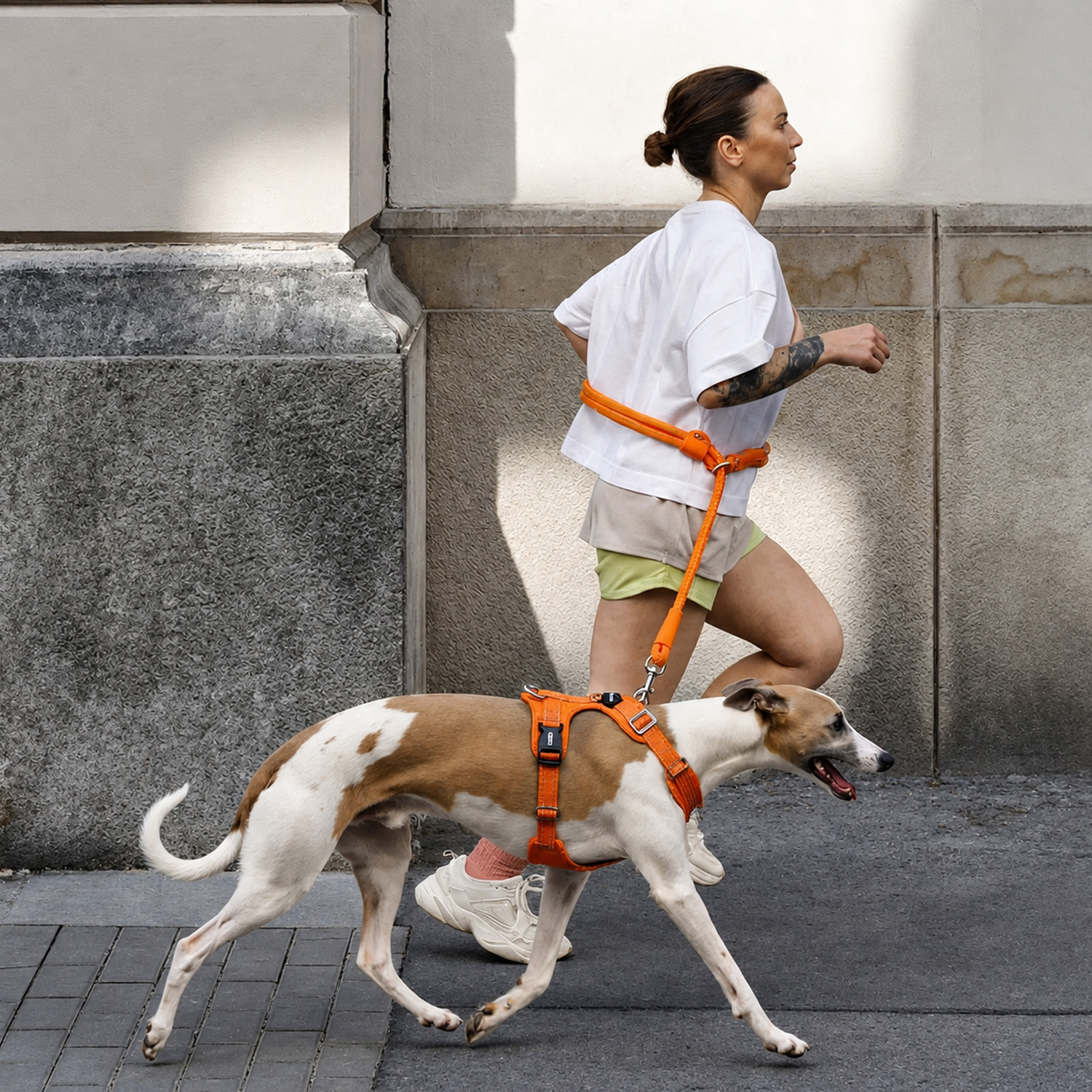 Una mujer con camisa blanca trota por un sendero de piedra, paseando un perro blanco y marrón con arnés naranja.