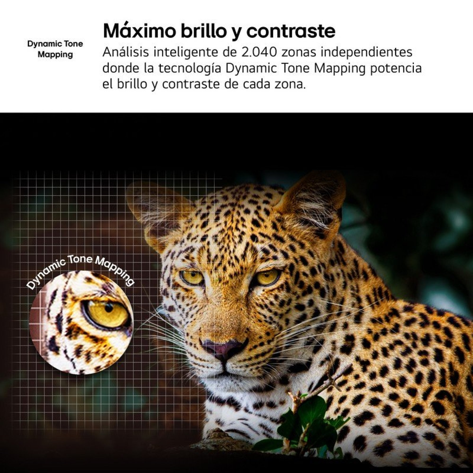 Se muestra un leopardo con un efecto de aumento en su ojo y el texto Dynamic Tone Mapping.
