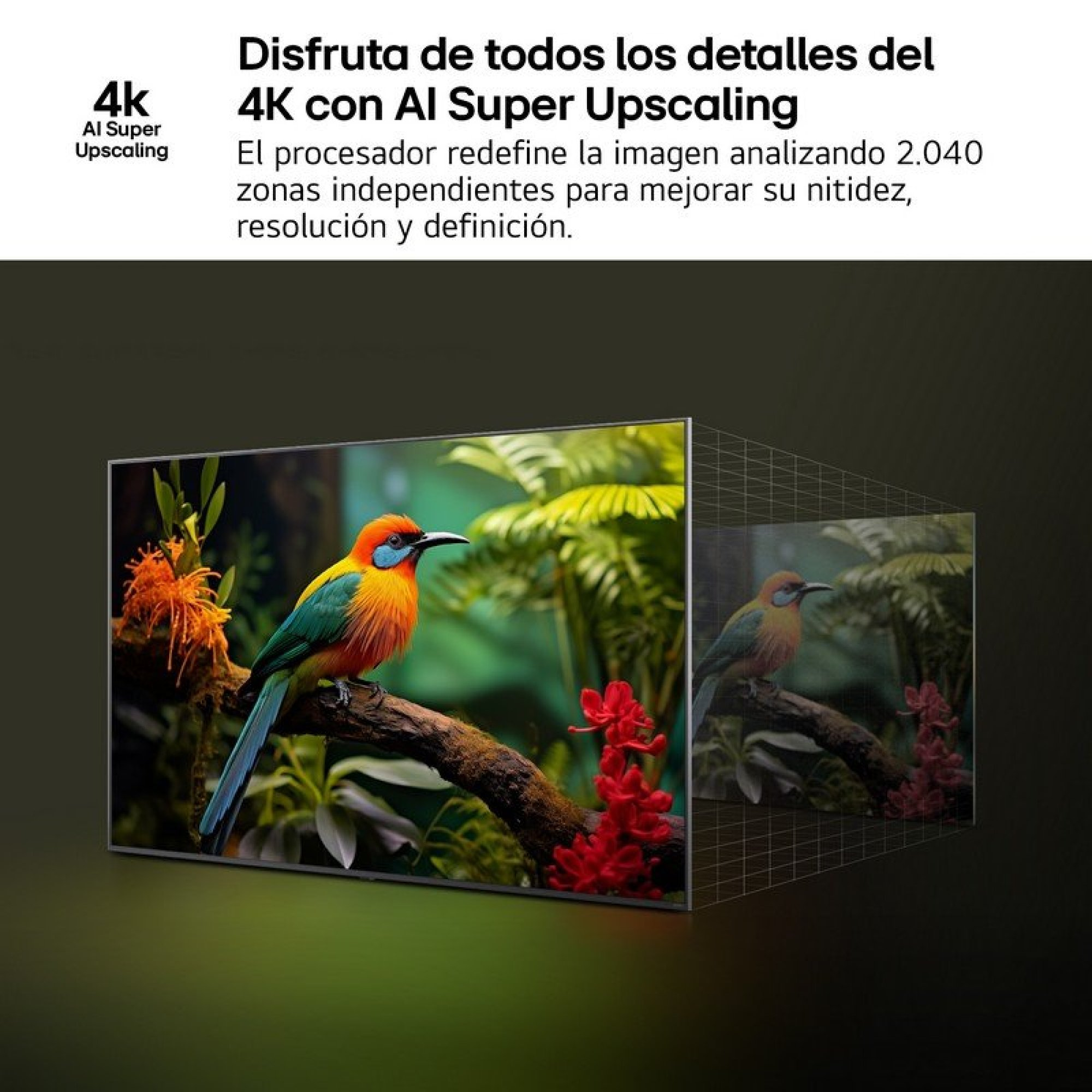 Un anuncio de televisión muestra la función 4K AI Super Upscaling con un pájaro colorido en la pantalla y una cuadrícula.