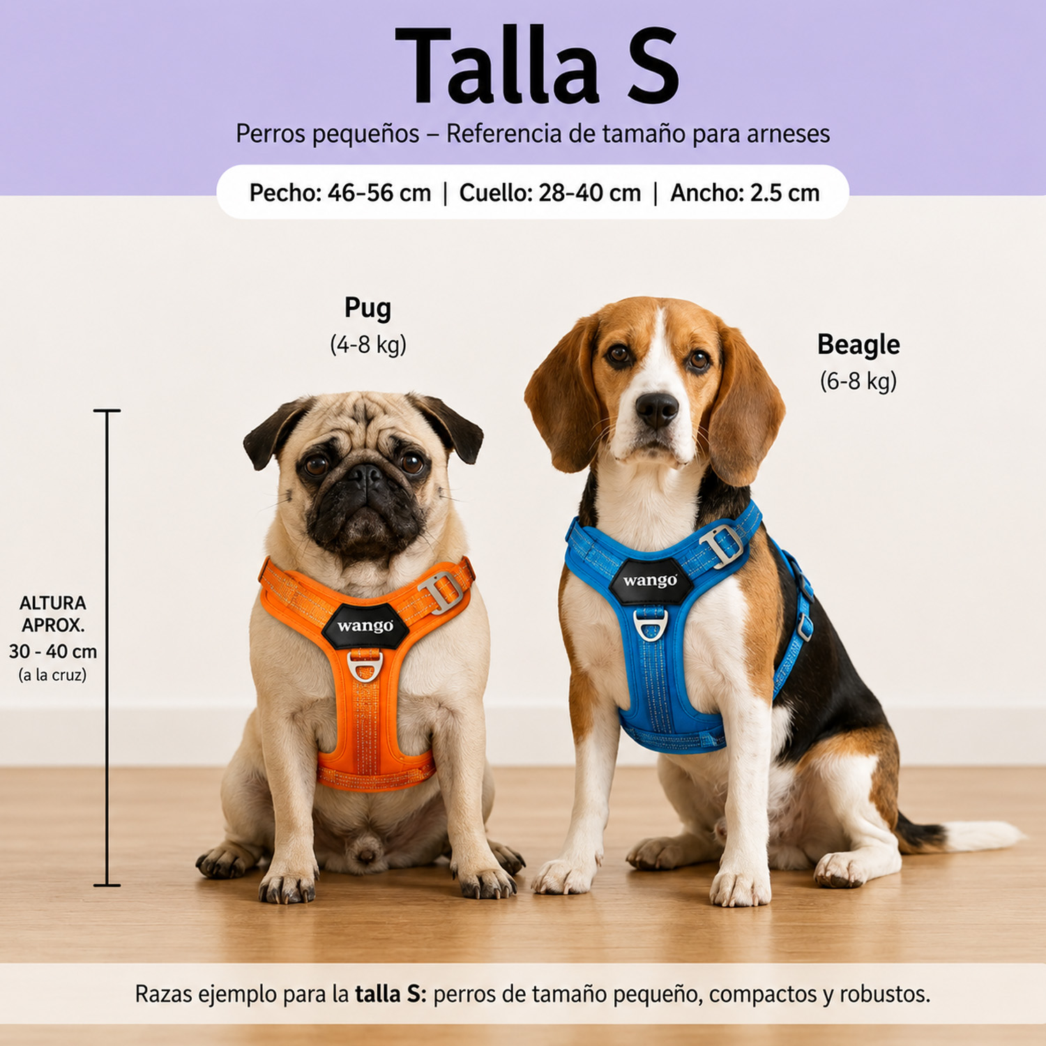 Guía de tallas para arneses de perros pequeños, con un Pug y un Beagle usando arneses.