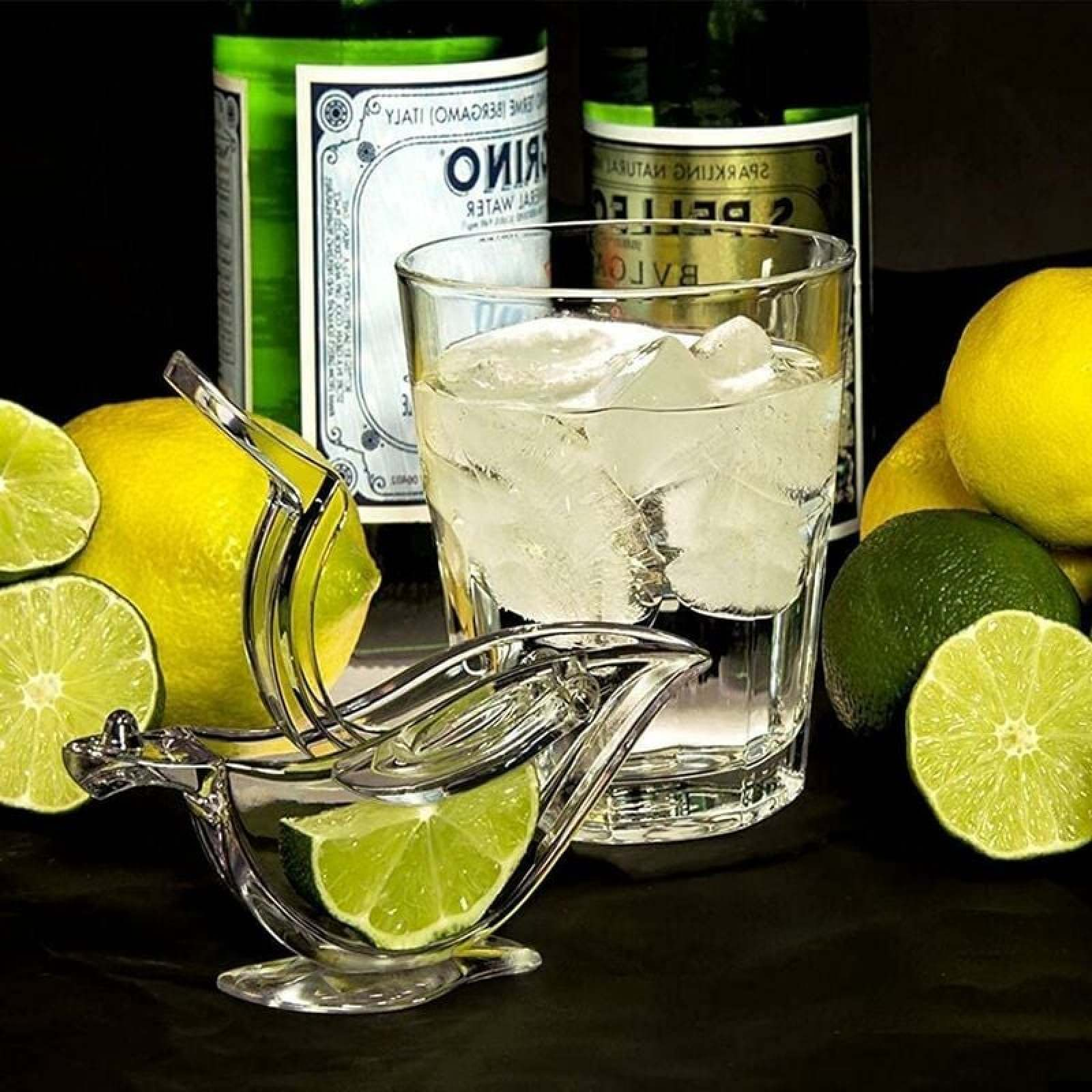 Ein Glas mit Eis, Limetten, Zitronen und einer Zitruspresse vor zwei Flaschen.