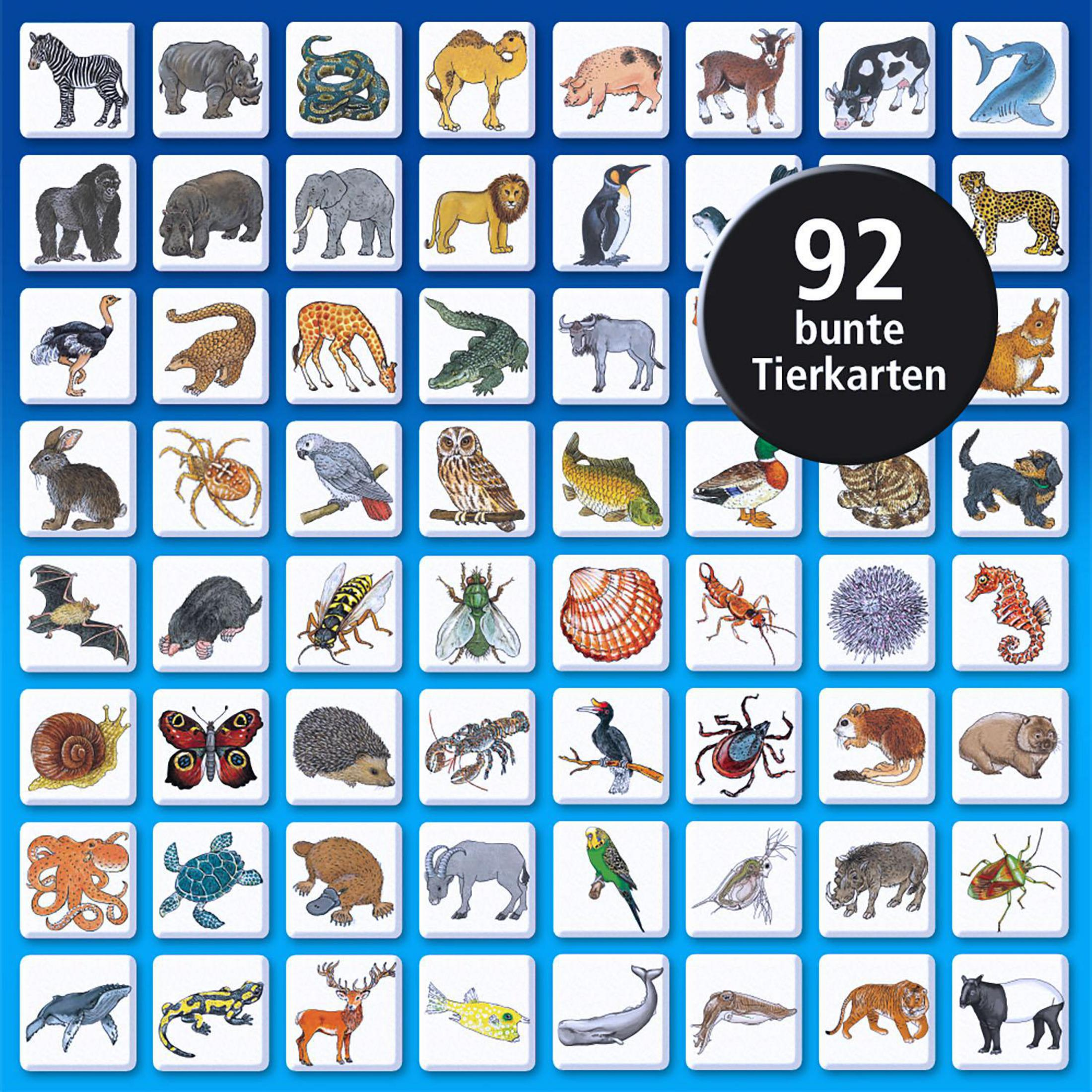 Raster von vielen bunten Spielkarten mit Tiermotiven und dem Text 92 bunte Tierkarten.