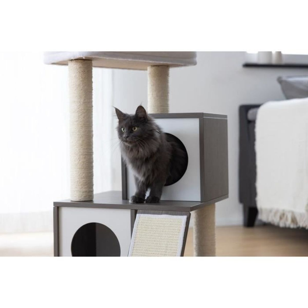 Un gatto grigio scuro e soffice si trova su un moderno tiragraffi con pali e cucce.