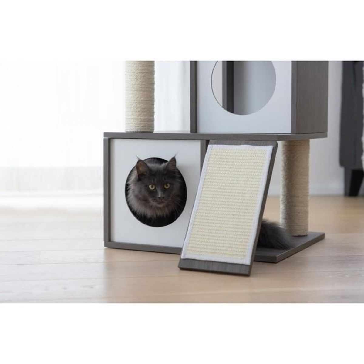 Un gatto grigio e soffice guarda fuori dall'apertura circolare di un moderno albero per gatti con tiragraffi.