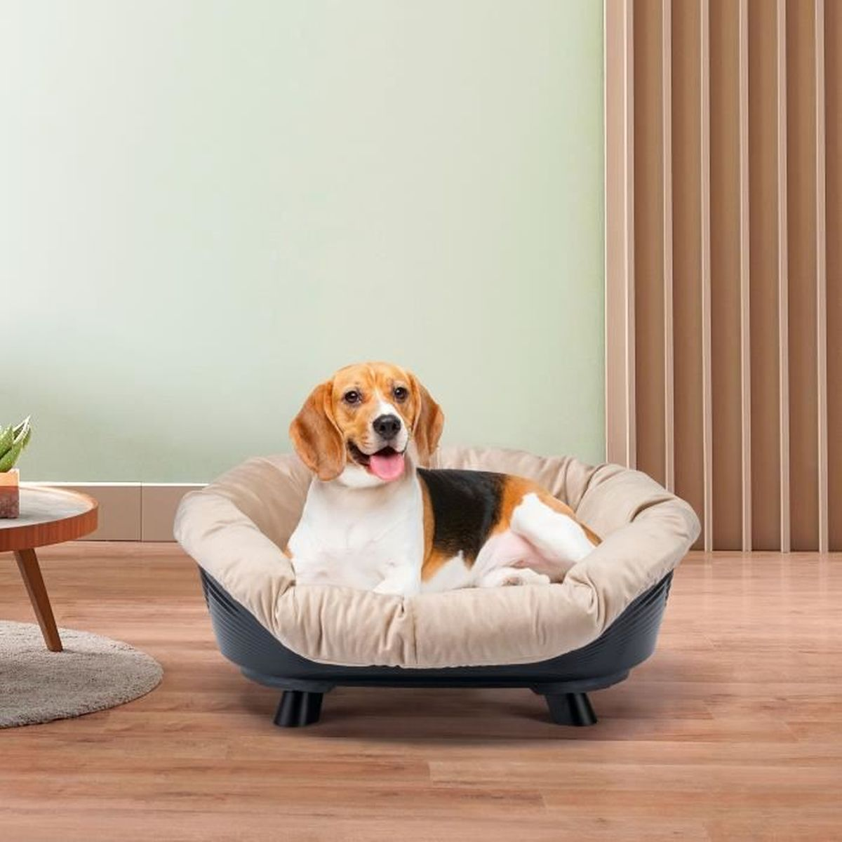 Ein Beagle liegt glücklich in einem runden, beigefarbenen Hundebett mit schwarzem Gestell auf Holzboden.