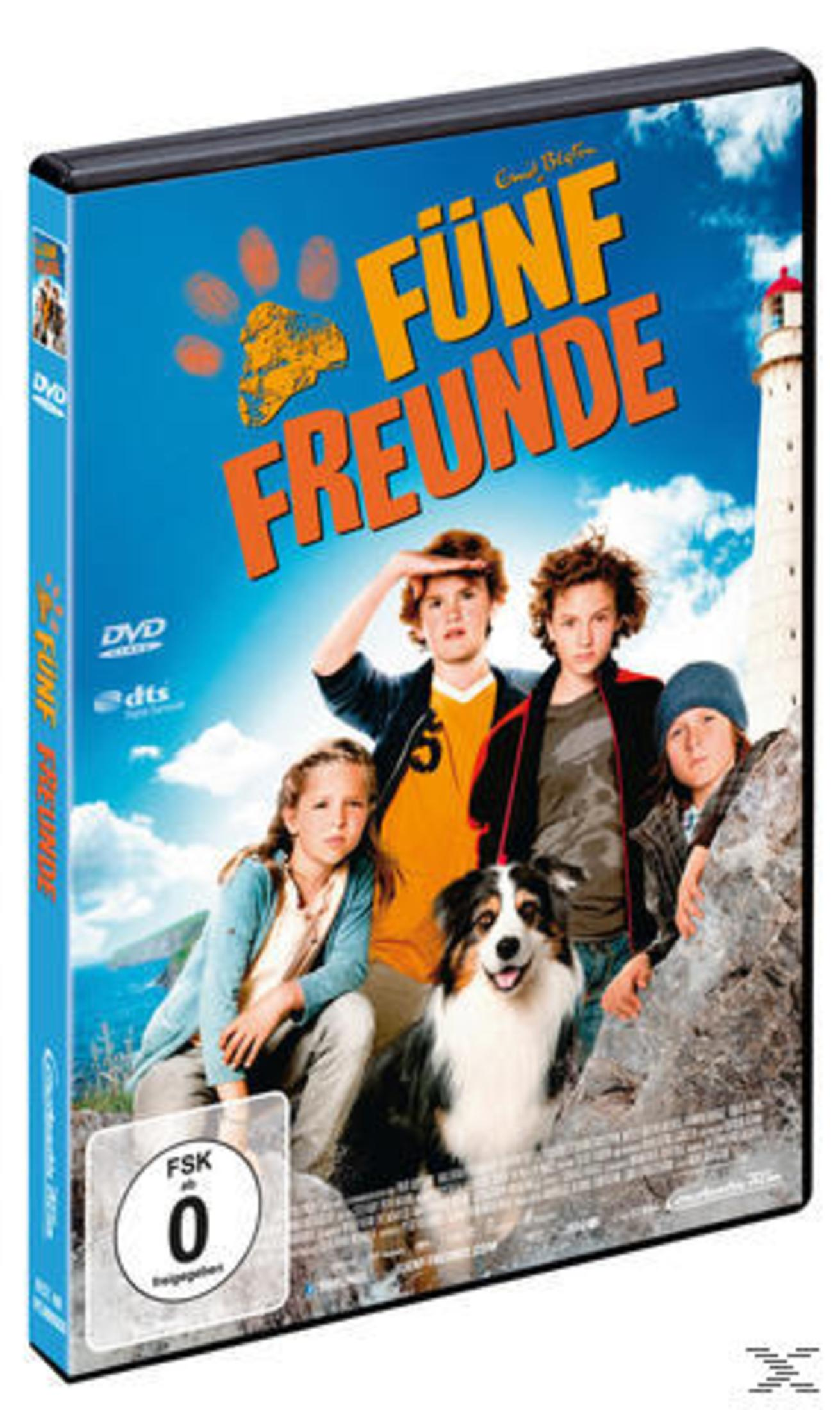 DVD-Cover von Fünf Freunde zeigt vier Kinder und einen Hund vor einer Küstenlandschaft.