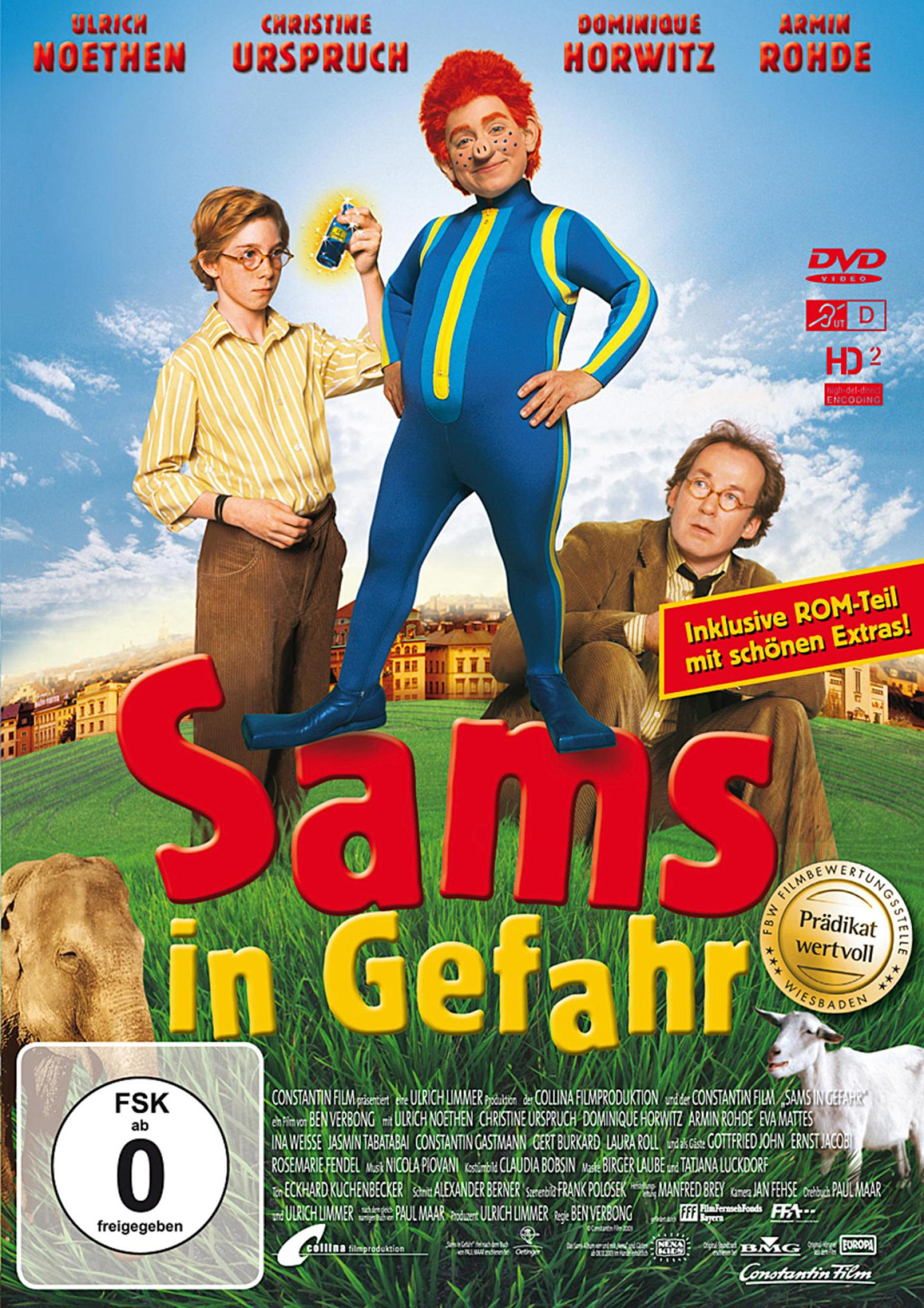 DVD-Cover von Sams in Gefahr mit drei Hauptfiguren vor einer bunten Stadtlandschaft und Wiese.