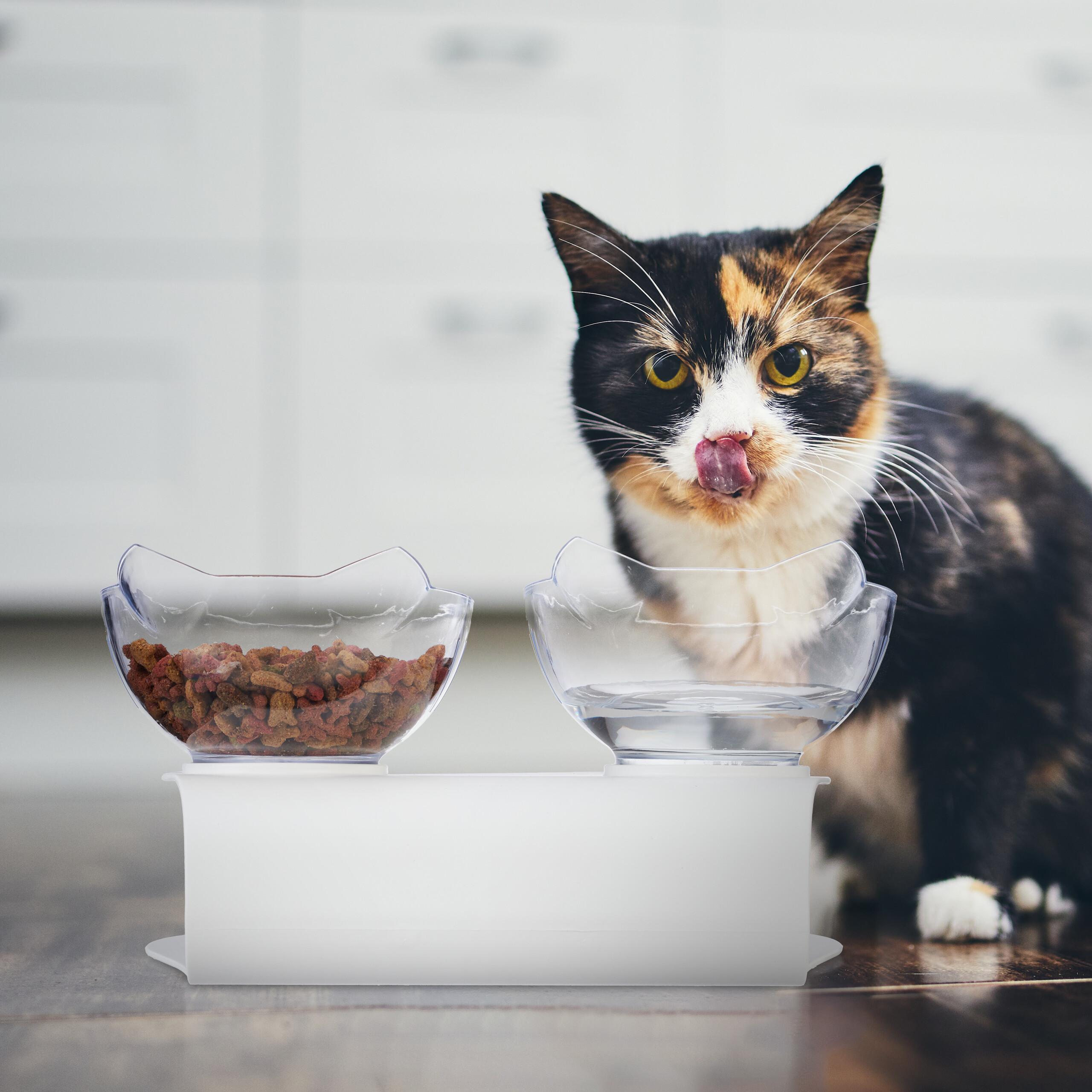 Eine dreifarbige Katze leckt sich das Maul neben zwei durchsichtigen Futternäpfen.