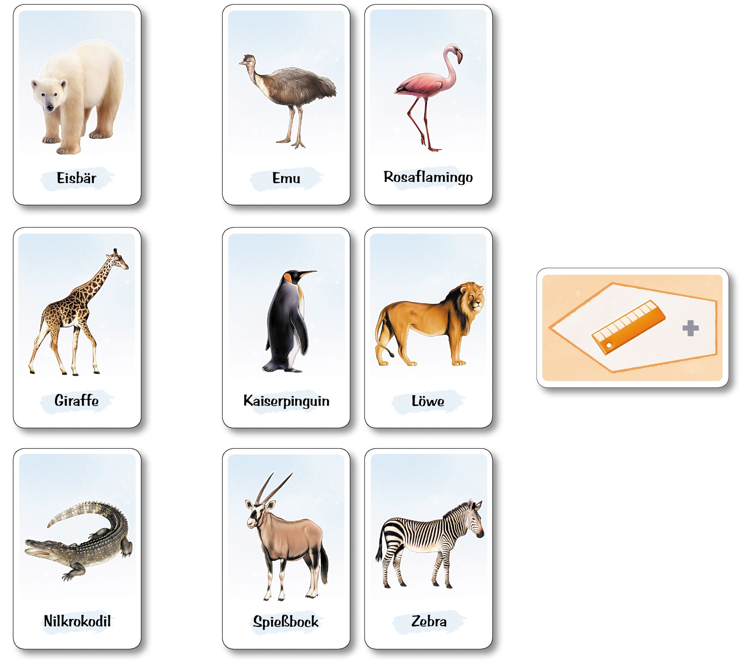 Neun Tierkarten mit Eisbär, Emu, Flamingo, Giraffe, Pinguin, Löwe, Krokodil, Antilope und Zebra.