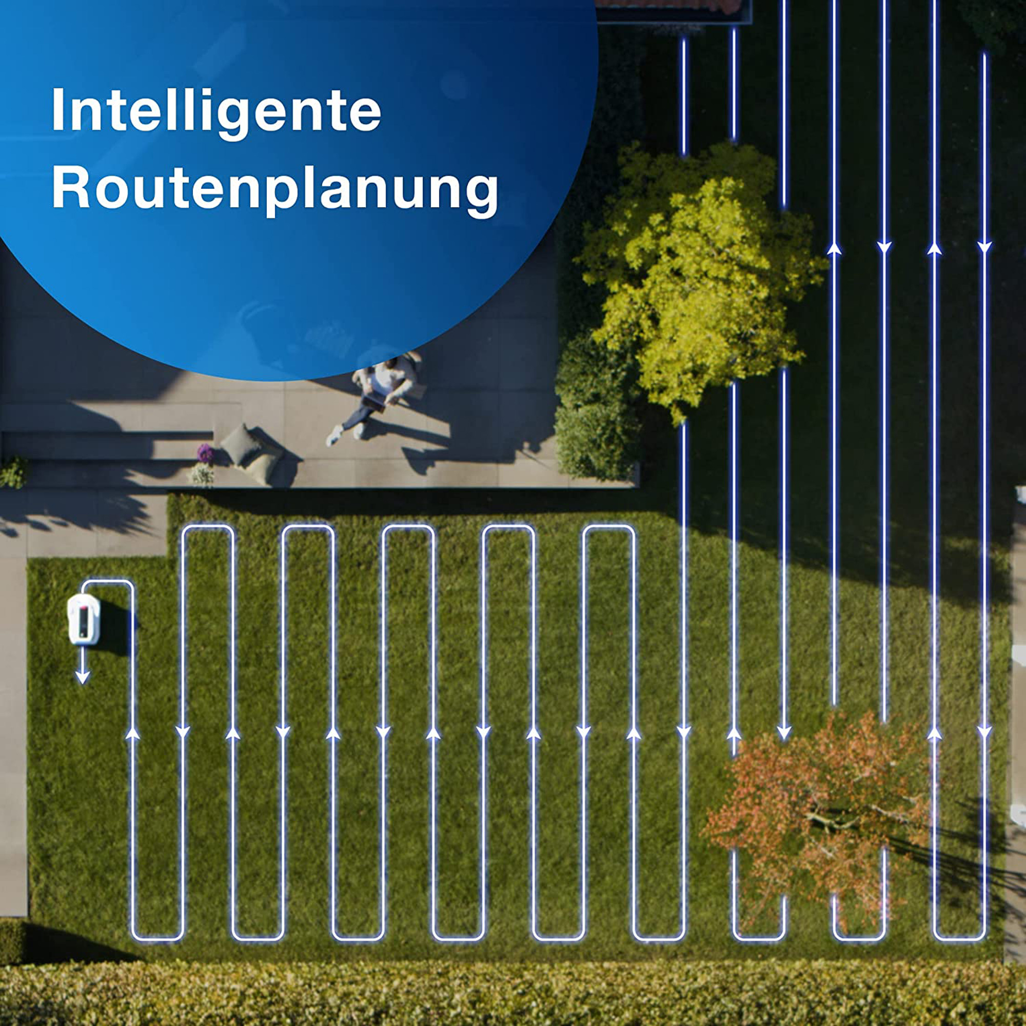 Intelligente Routenplanung für einen Mähroboter auf einem grünen Rasen mit blauen Linien.