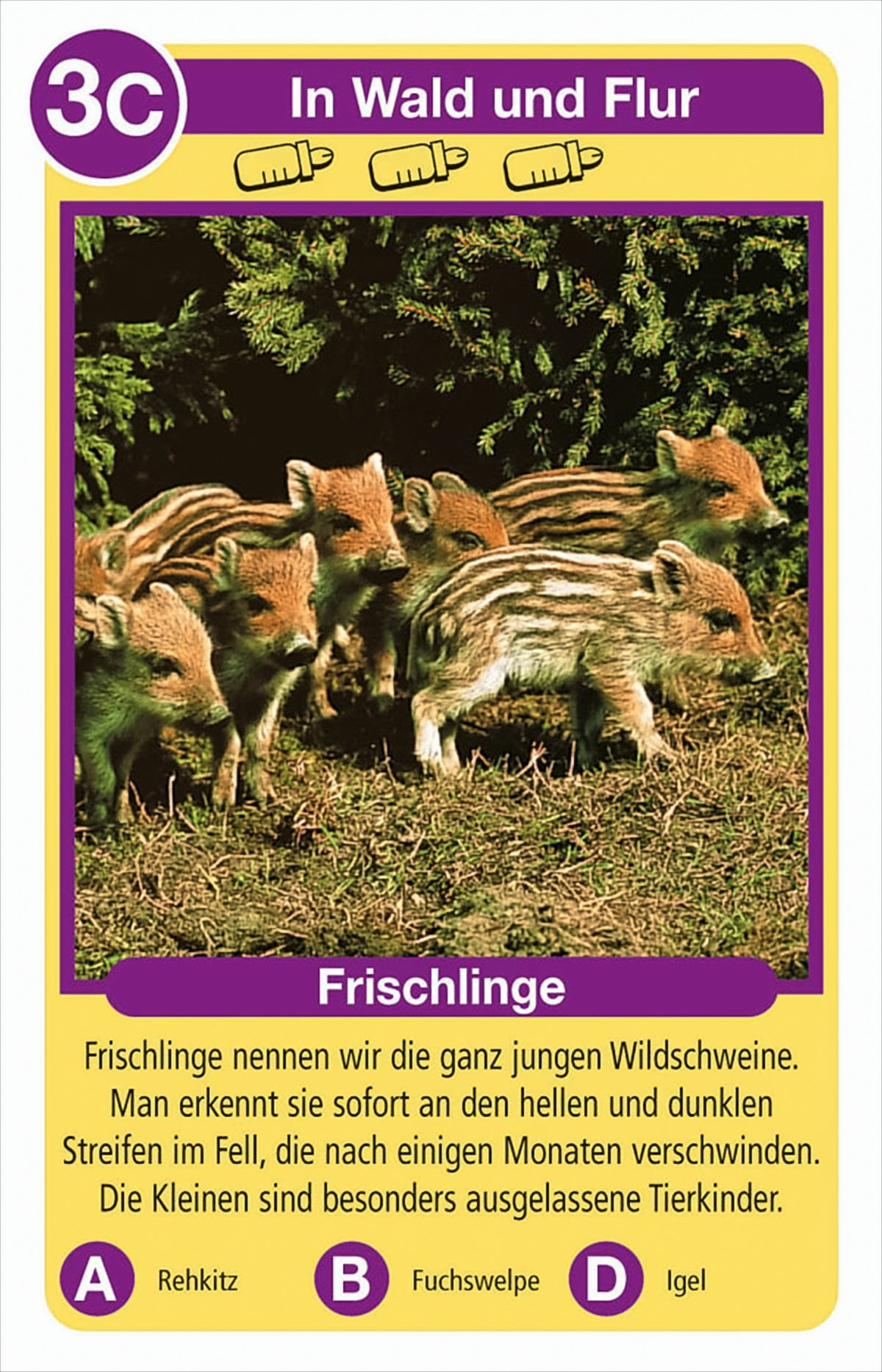 Eine Lernkarte mit sechs gestreiften Frischlingen im Wald und Text auf Deutsch.