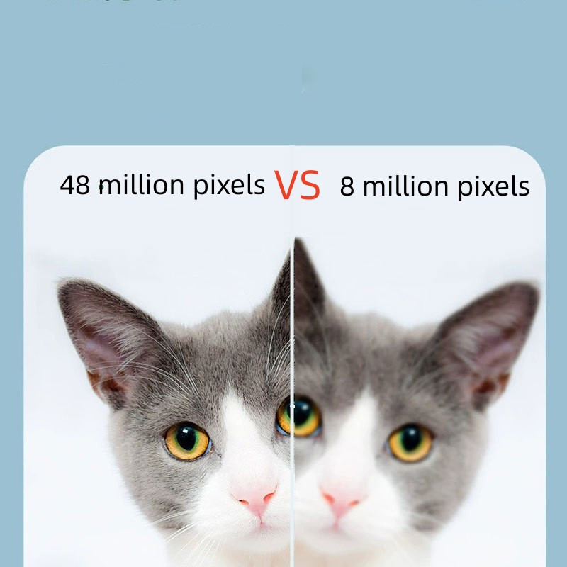 Comparison between 48 million and 8 million pixels using a cat's head close-up.
