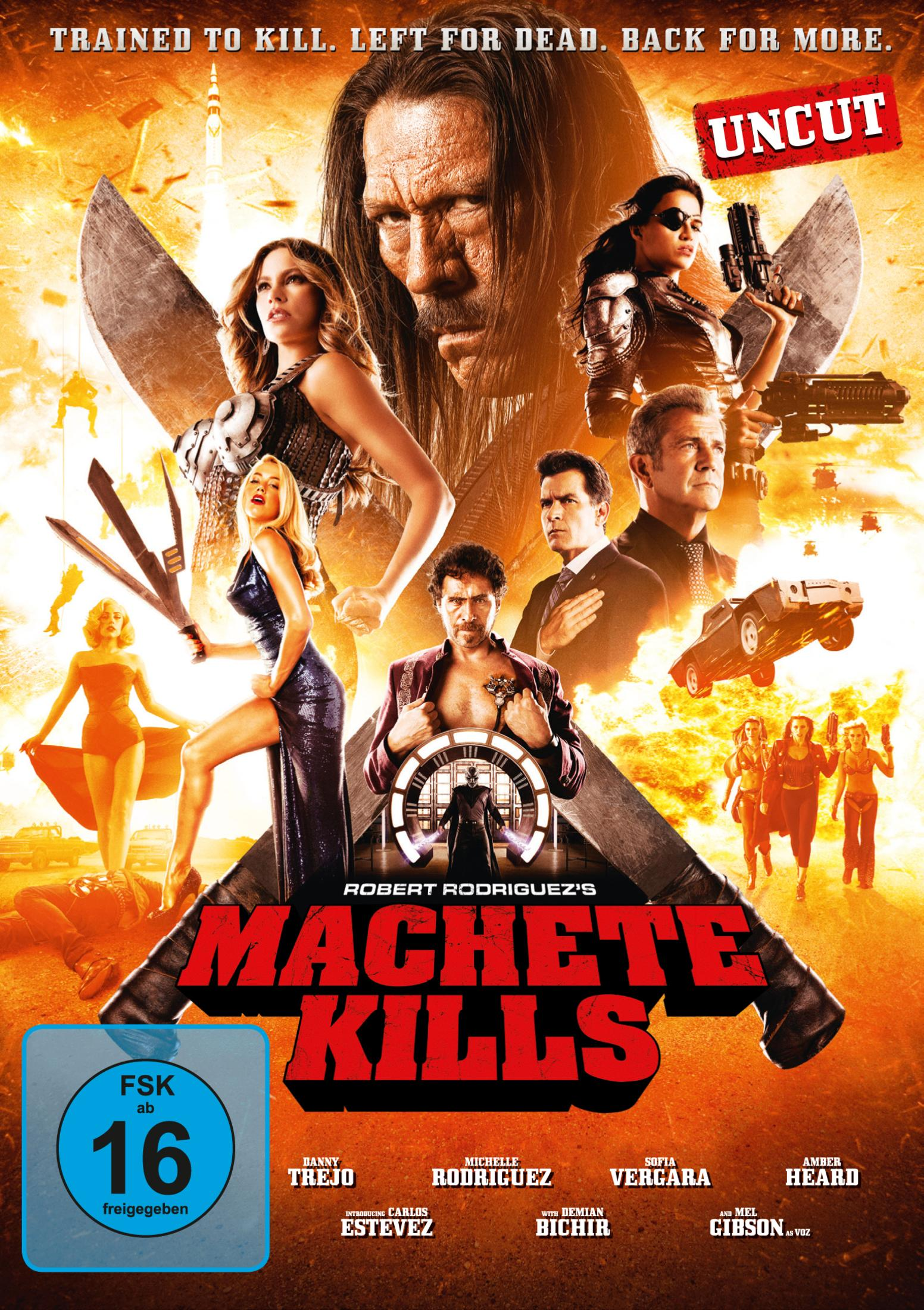 Filmposter von Machete Kills mit Danny Trejo und anderen Schauspielern in Explosionen und Waffen.