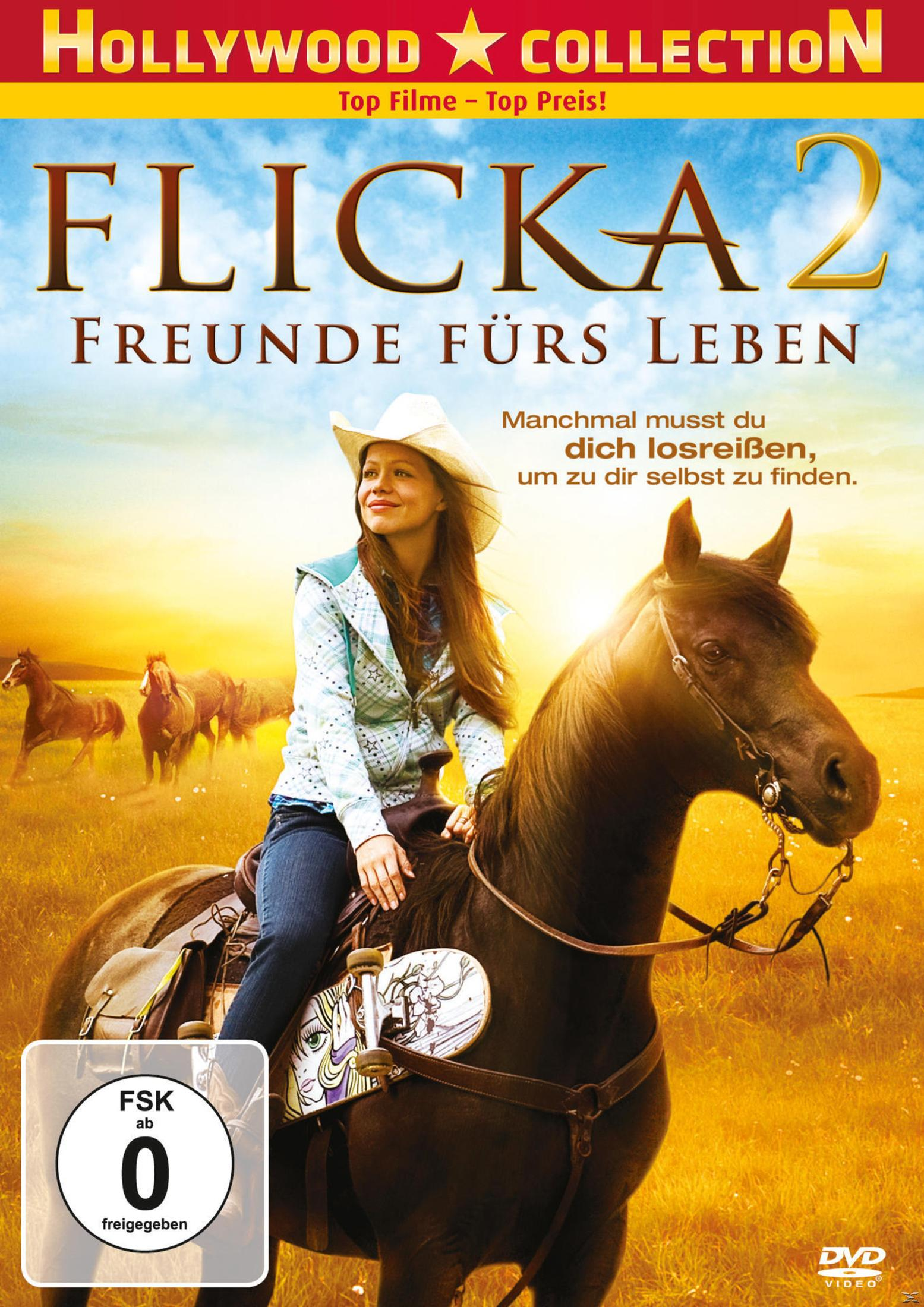 DVD-Cover von Flicka 2 zeigt ein Mädchen im Cowboyhut auf einem schwarzen Pferd in einer hügeligen Landschaft.