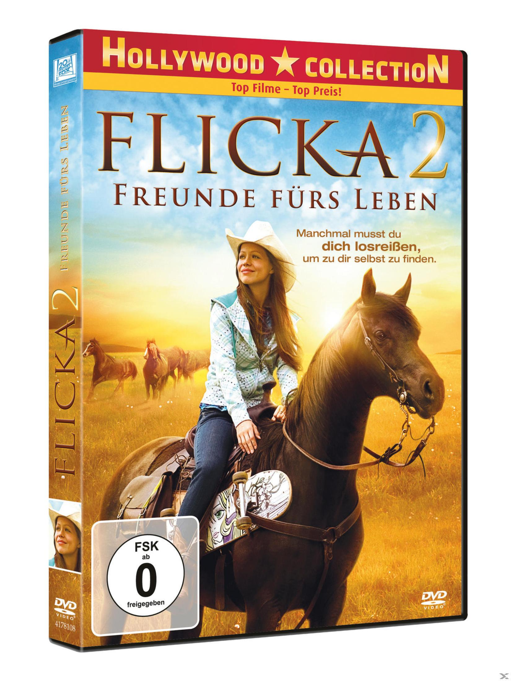 DVD-Cover von Flicka 2: Ein Mädchen sitzt auf einem braunen Pferd, im Hintergrund laufen weitere Pferde.