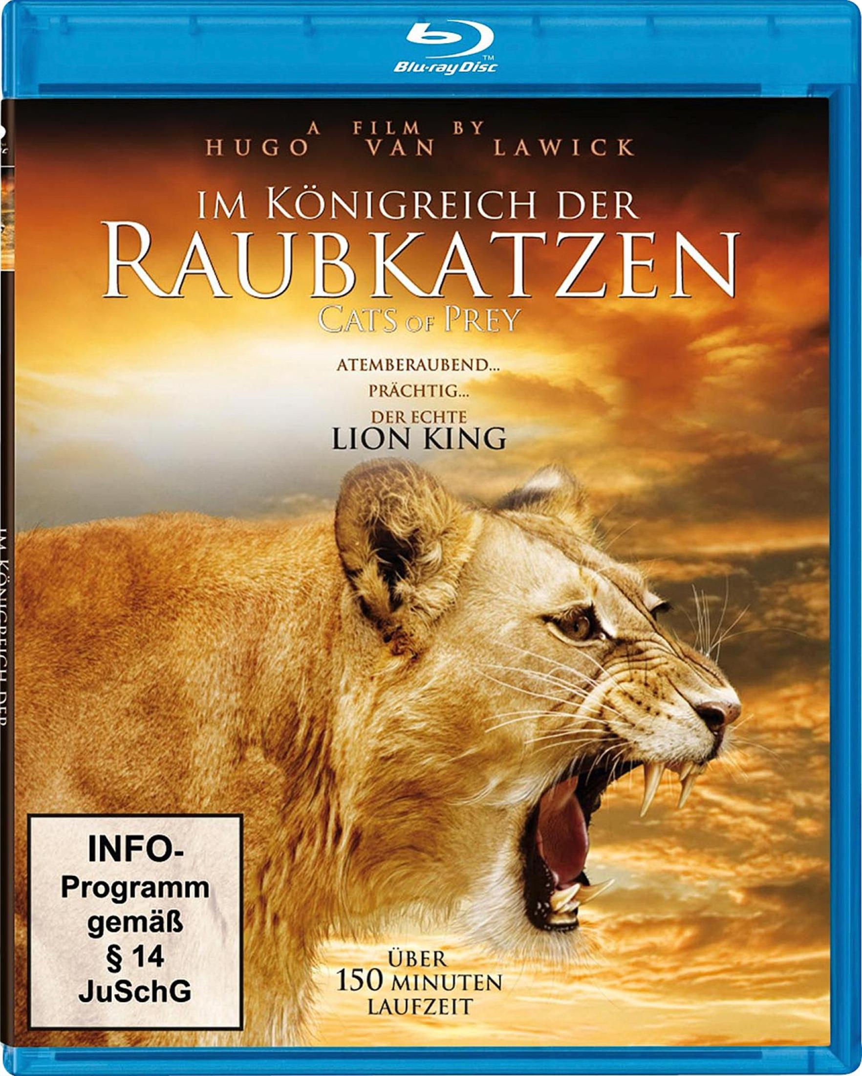 Blu-Ray-Hülle mit einer fauchenden Löwin vor Sonnenuntergang und dem Titel Im Königreich der Raubkatzen.