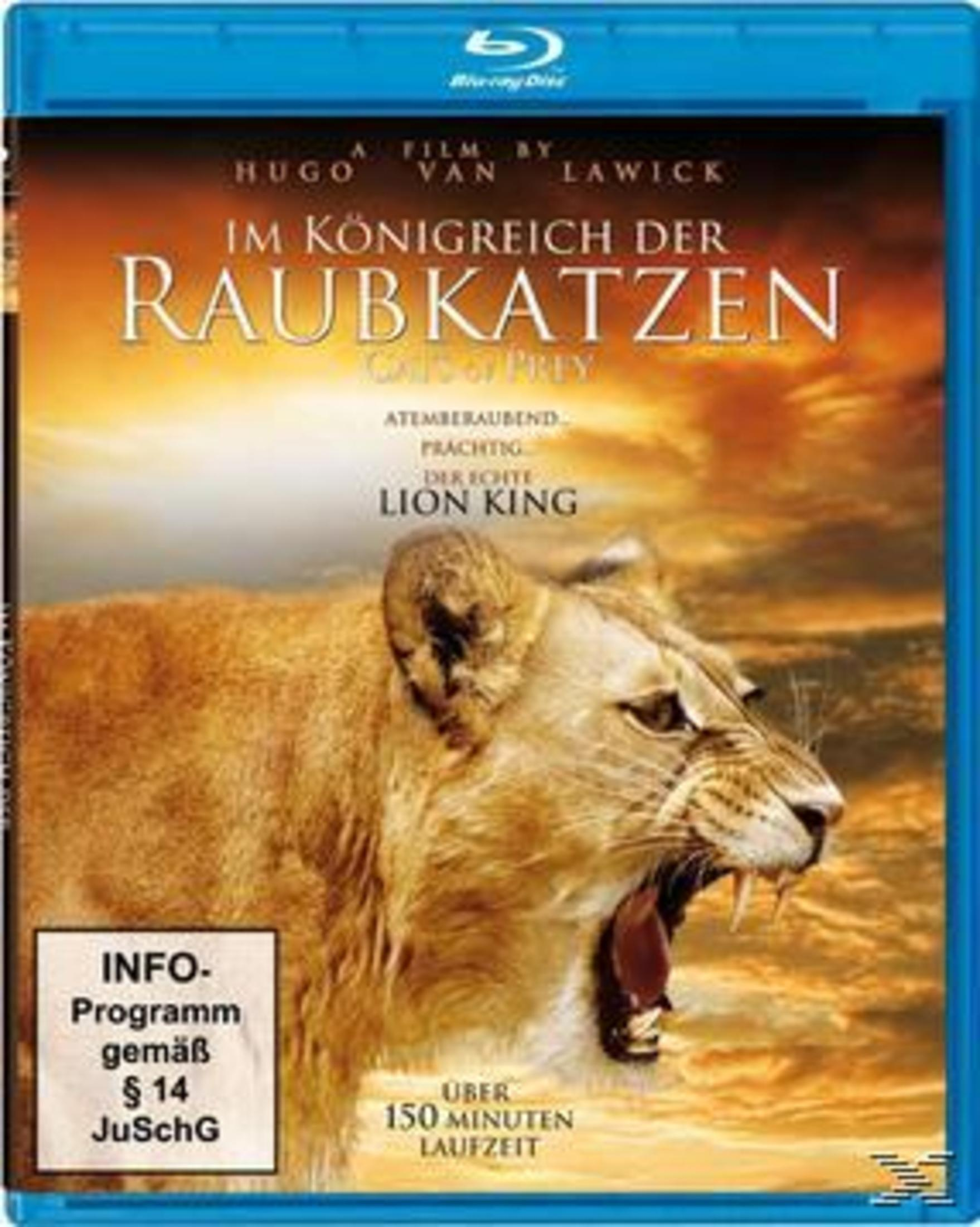 Ein Blu-ray-Cover von Im Königreich der Raubkatzen zeigt eine brüllende Löwin vor einem Abendhimmel.