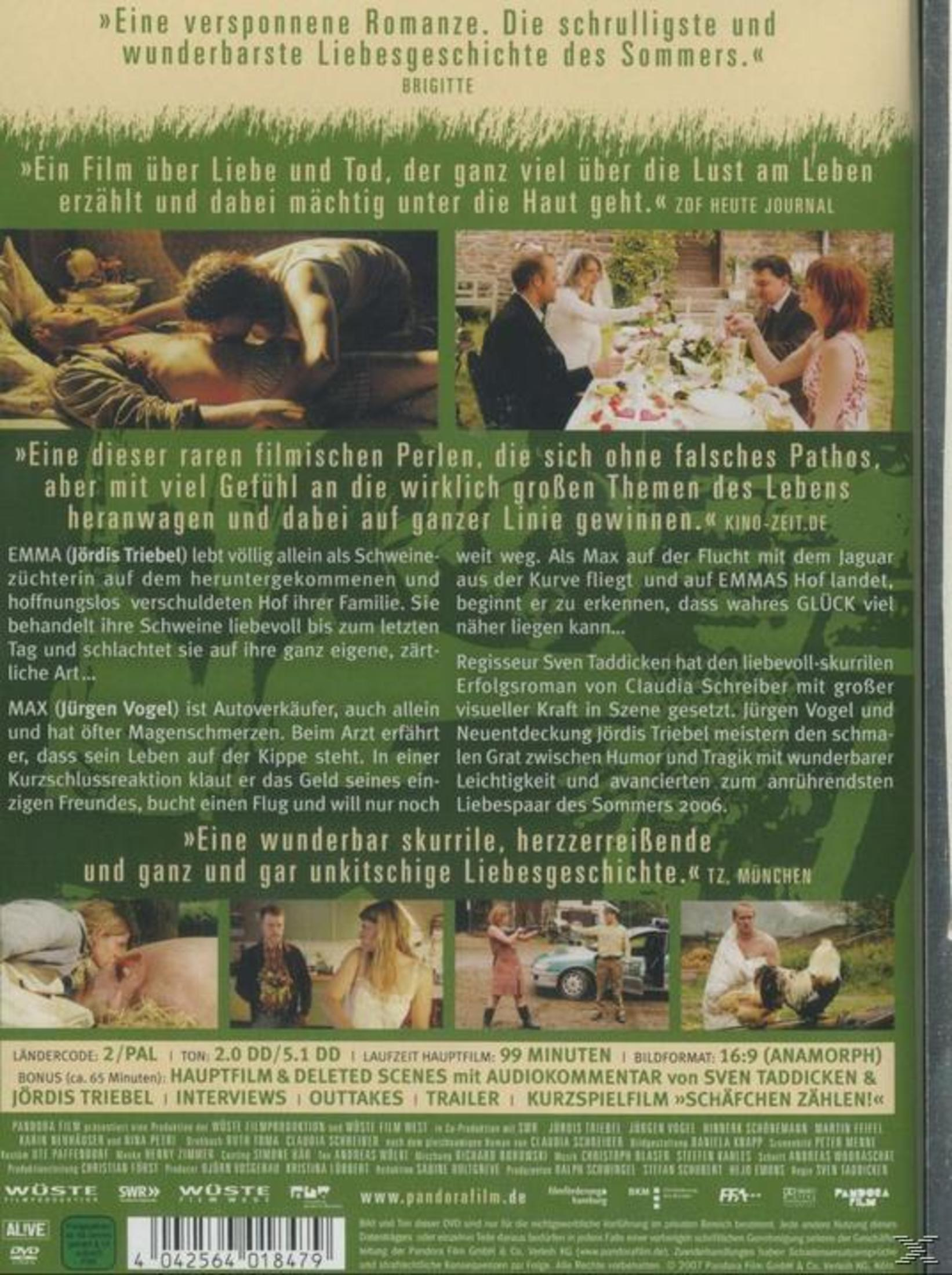 Rückseite einer DVD-Hülle mit grünem Text und kleinen Szenenfotos aus einem Film.
