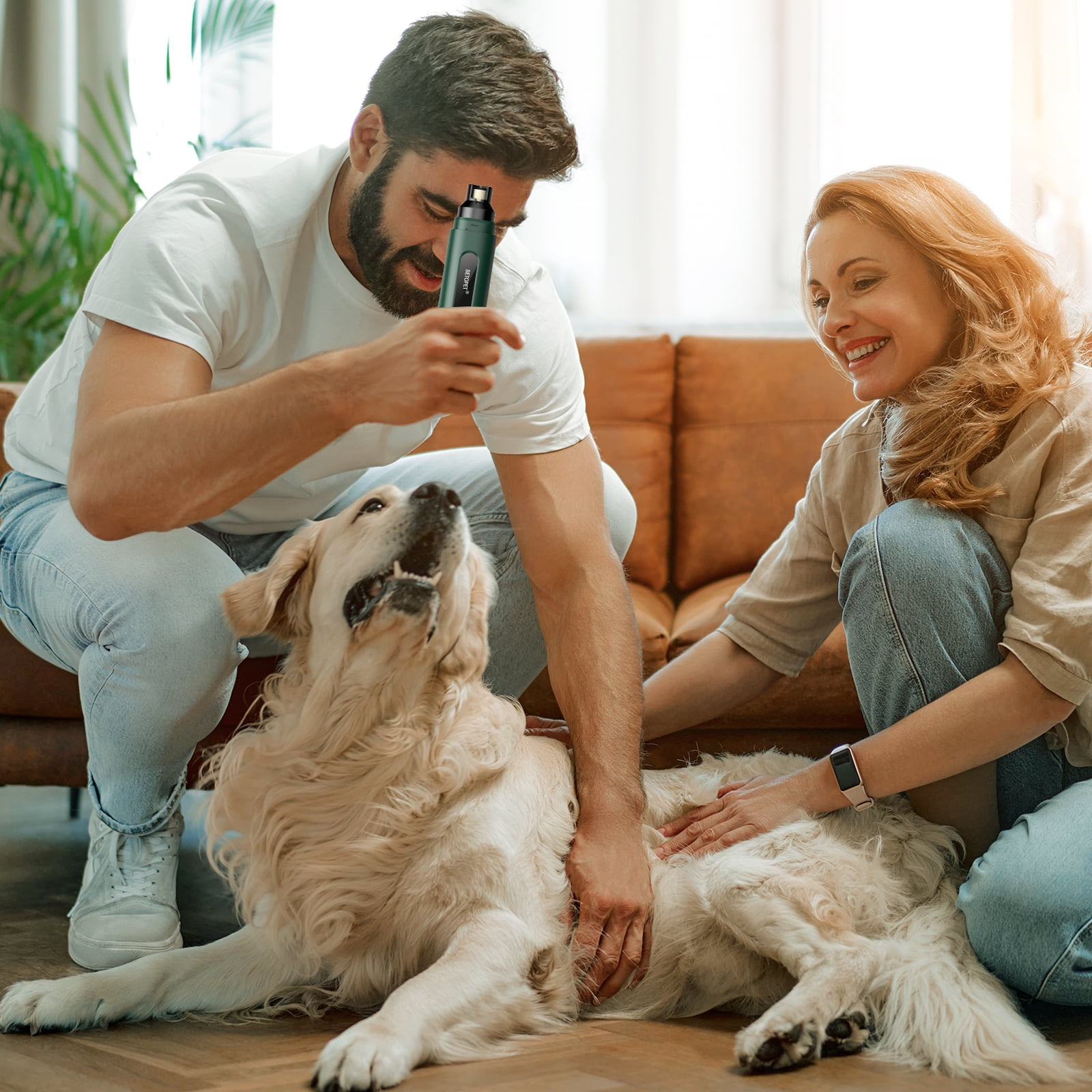 Ein Paar in einem Wohnzimmer bereitet sich darauf vor, einen Golden Retriever mit einem Gerät zu pflegen.