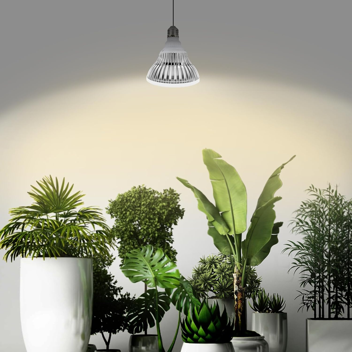 Eine hängende LED-Lampe beleuchtet eine Sammlung verschiedener grüner Topfpflanzen vor einer weißen Wand.