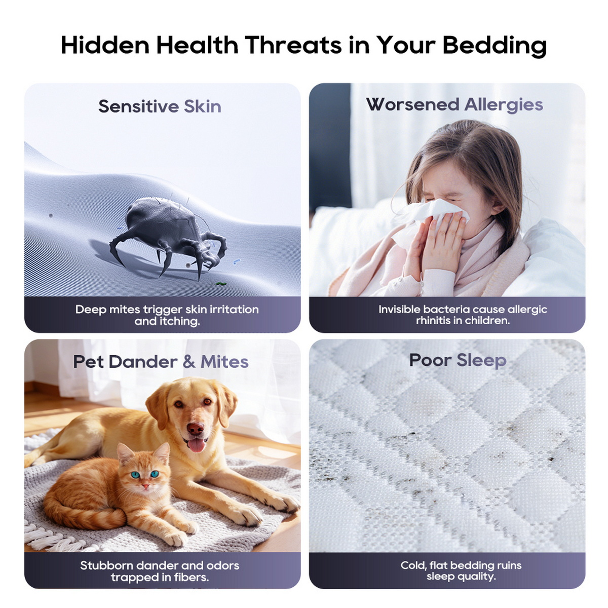 Eine Infografik zu Gesundheitsrisiken im Bett: Milbe, ein niesenendes Kind, Haustiere auf einem Teppich und eine schmutzige Matratze.
