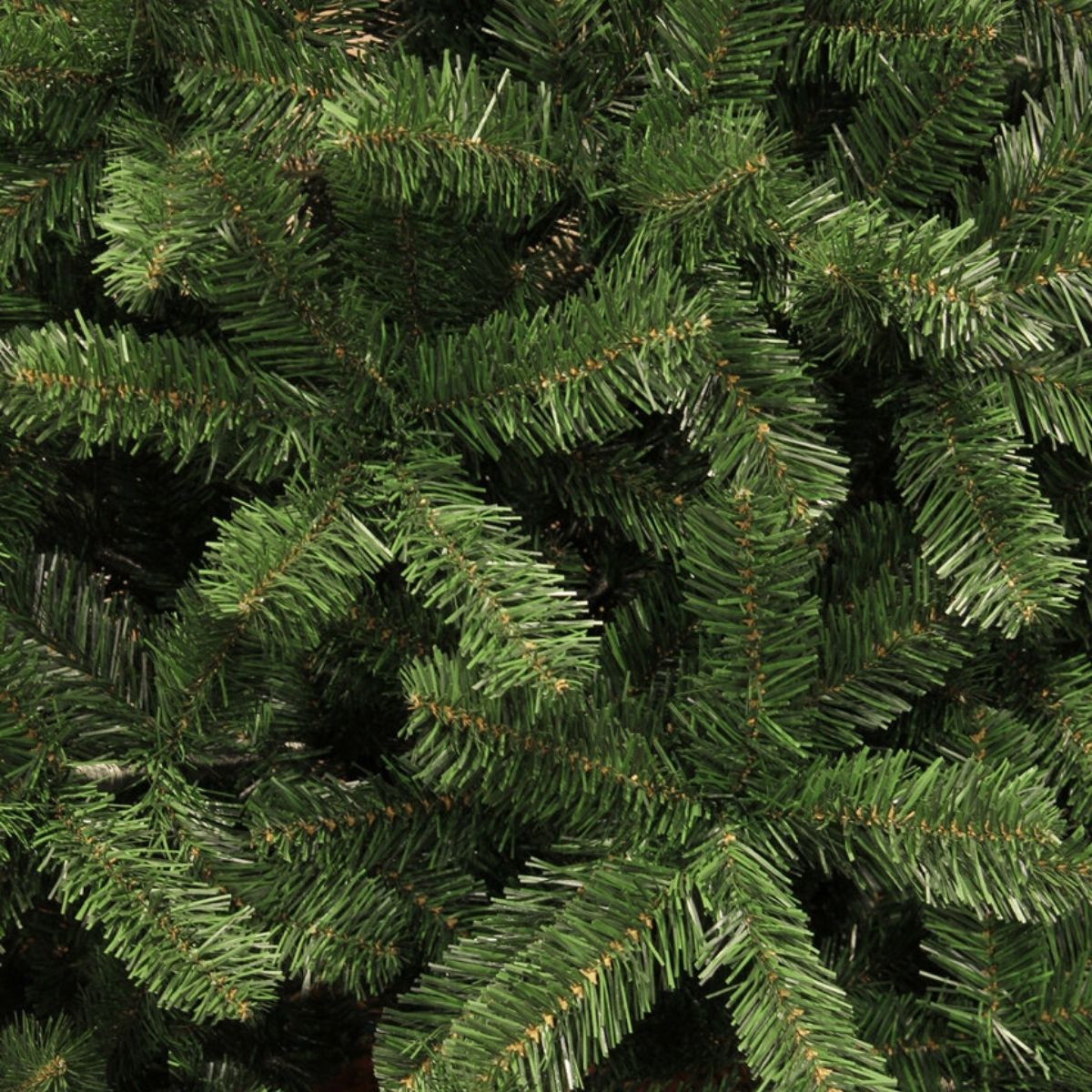 Dichte groene dennentakken van een kerstboom.
