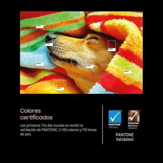 Un cane marrone dorme avvolto in una coperta colorata, con campioni di colore Pantone sovrapposti.