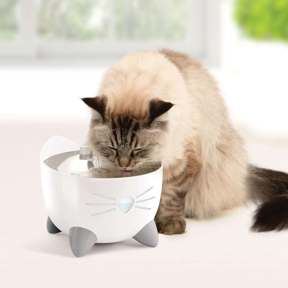 Un gato peludo bebe agua de una fuente para gatos blanca en una mesa en el interior.