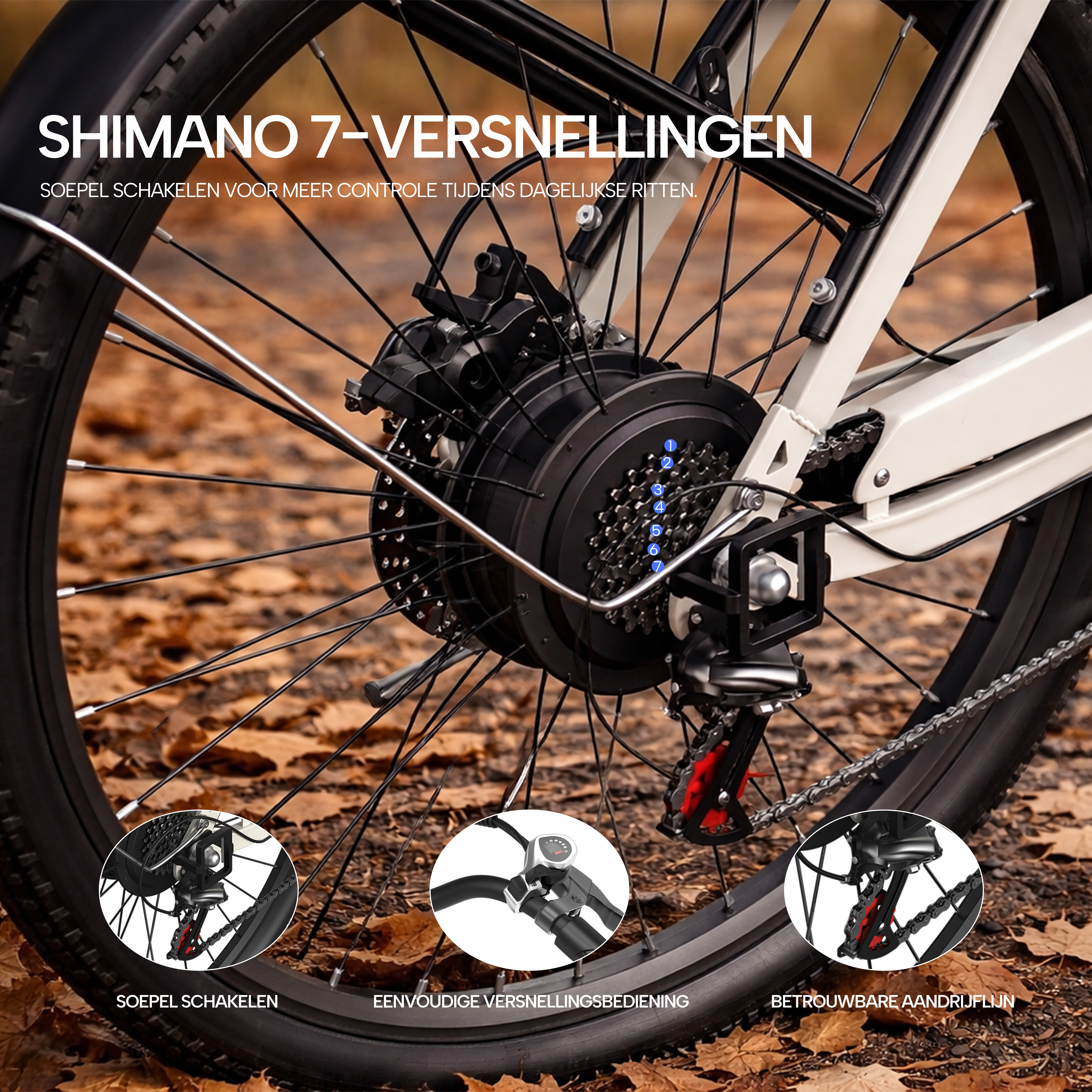 Nahaufnahme des Hinterrads eines Fahrrads mit Shimano 7-Gang-Schaltung, Kassette, Schaltwerk und Kette.