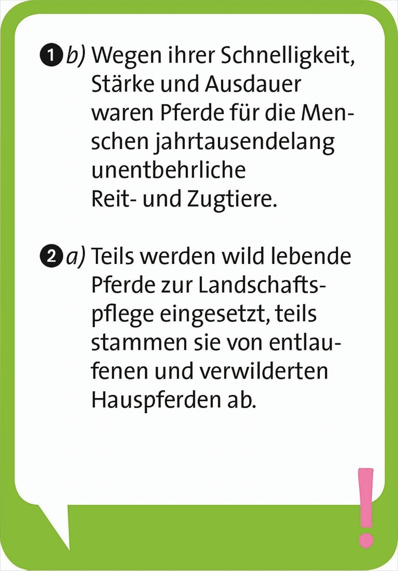 Infokarte mit deutschem Text über die Bedeutung und Herkunft von Pferden.